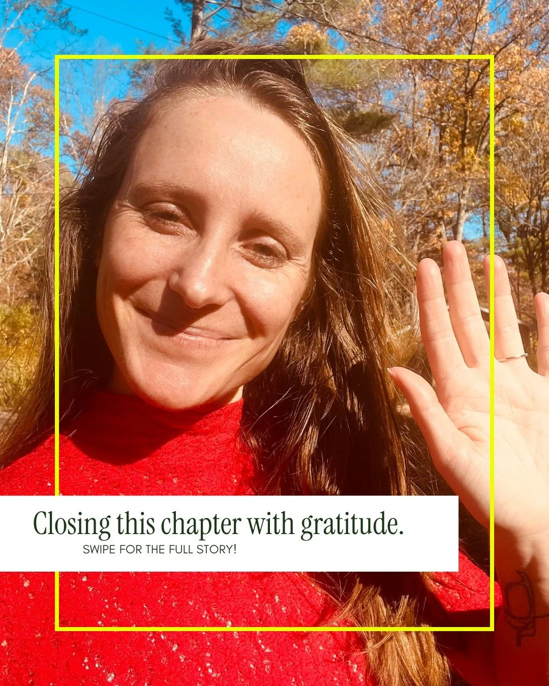 Big news: Sunlight Editing is closing! Read the full caption for the story. ⬇

🍂 Running a small business has been so meaningful. I'm so grateful to all the creative people who have been part of that. Fellow writers, nonprofit leaders, and small bus