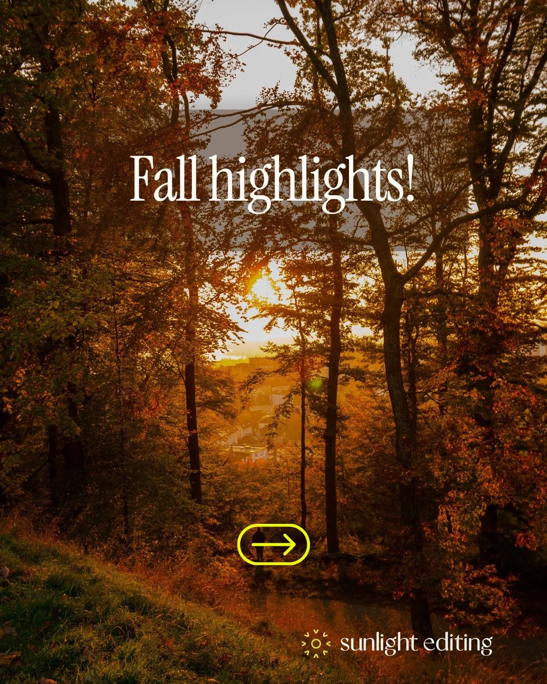 Fall highlights at Sunlight Editing. 🍂 Swipe through to read!