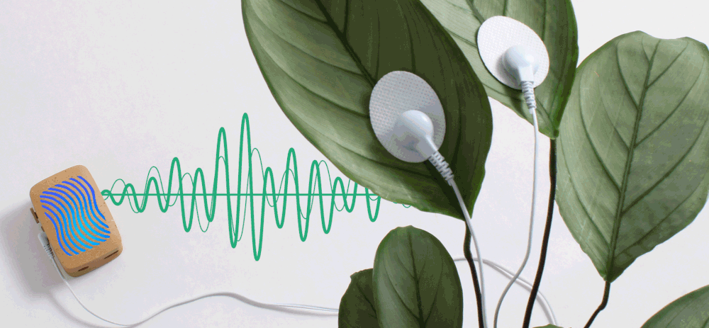 plantwave-2.gif