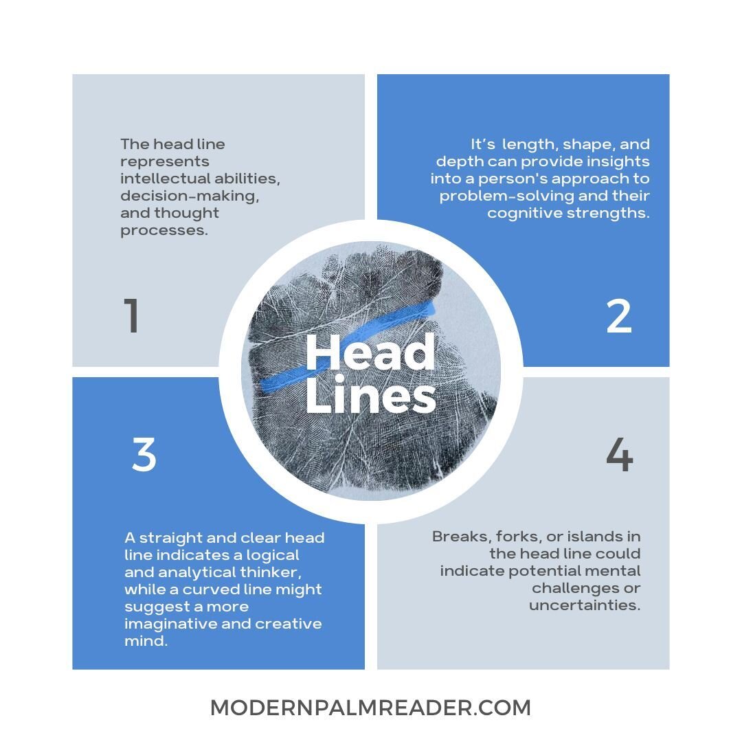 The head line reflects how a person thinks. Do you have a long head line? You may be a chronic over thinker. Does it curve? You might have a creative urge and outside the box thinking!

1. The head line represents intellectual abilities, decision-mak