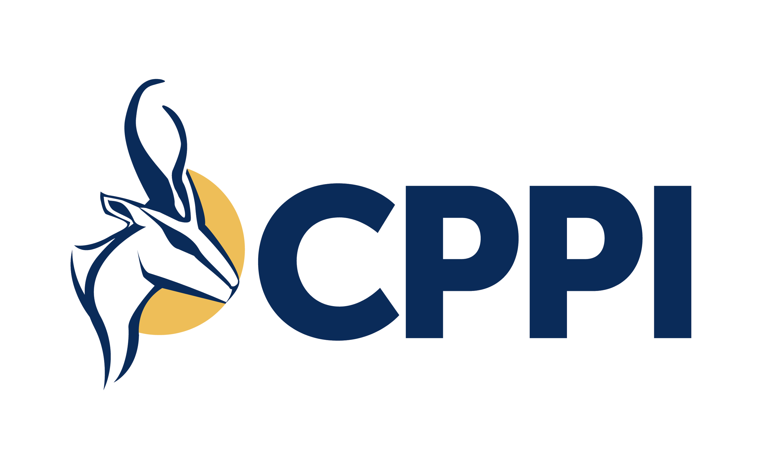 CPPI Logo - 2 Color (RGB).png