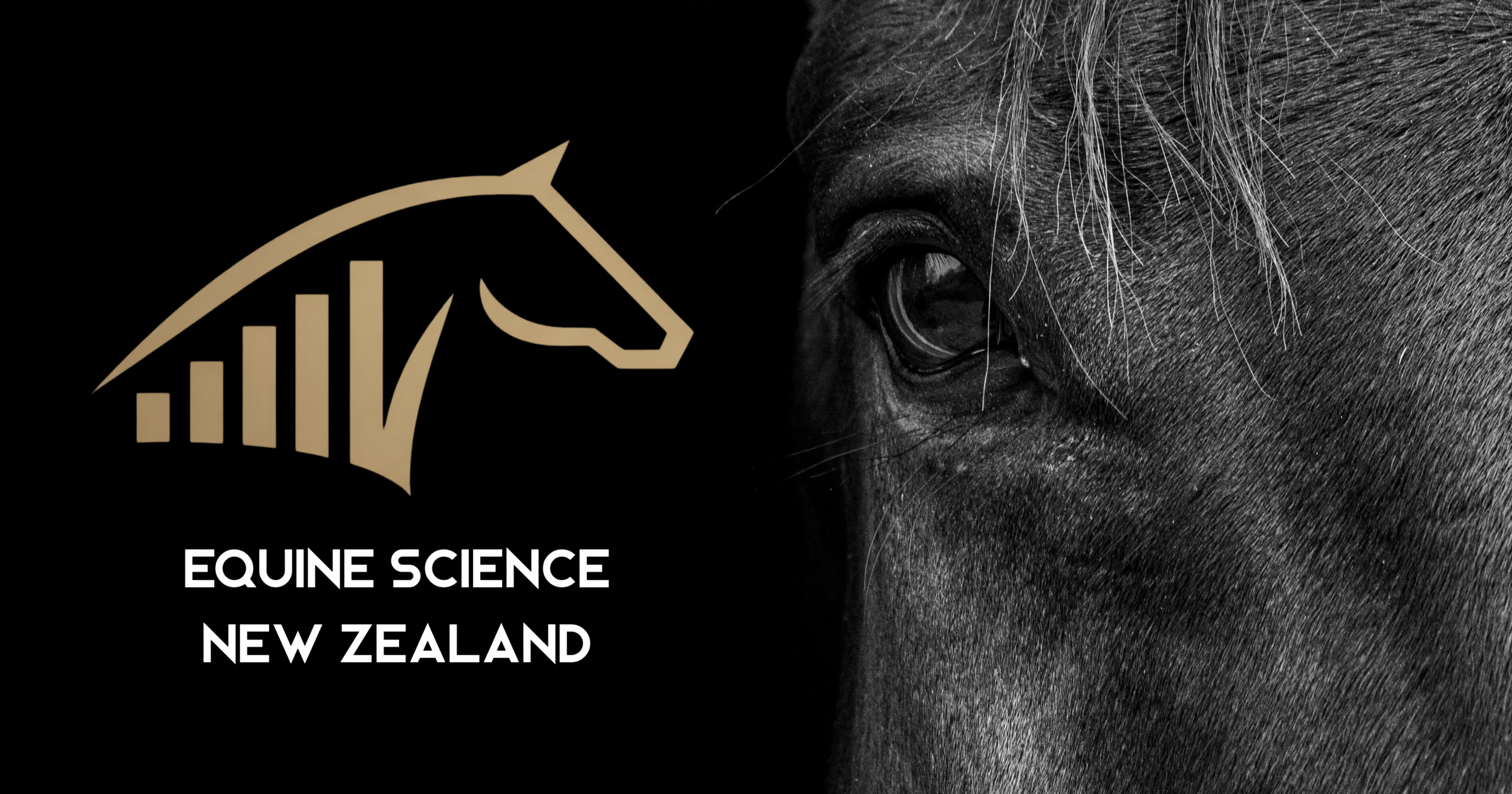 Equine Science NZ – Performance App Access