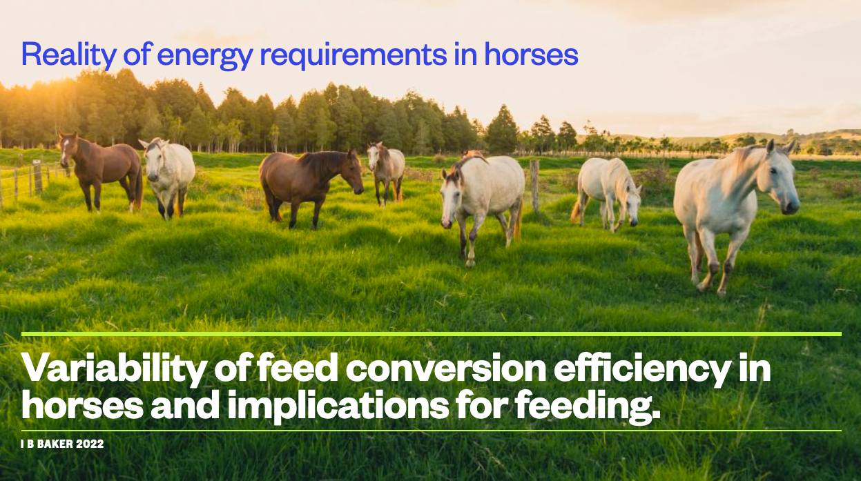 Screenshot 2023-11-01 at 1.21.07 PM.png