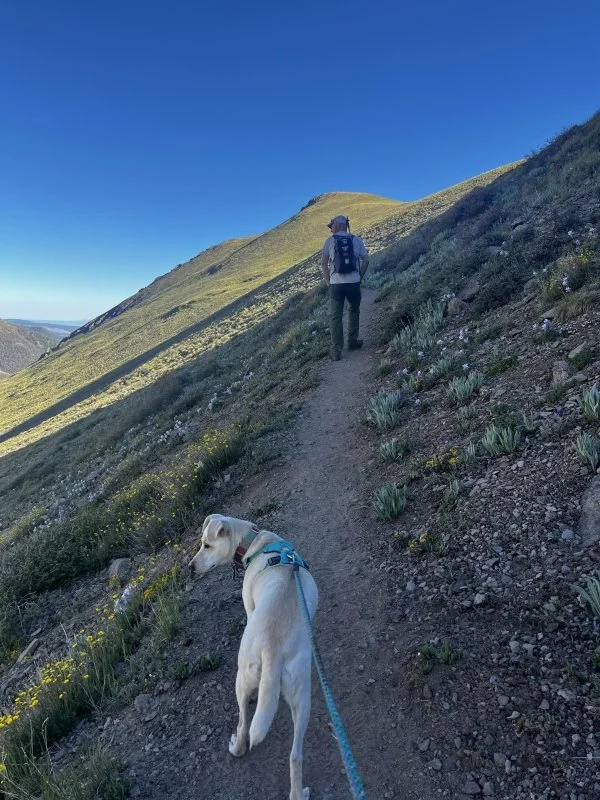 On the Skyline Trail (National Scenic Trail)