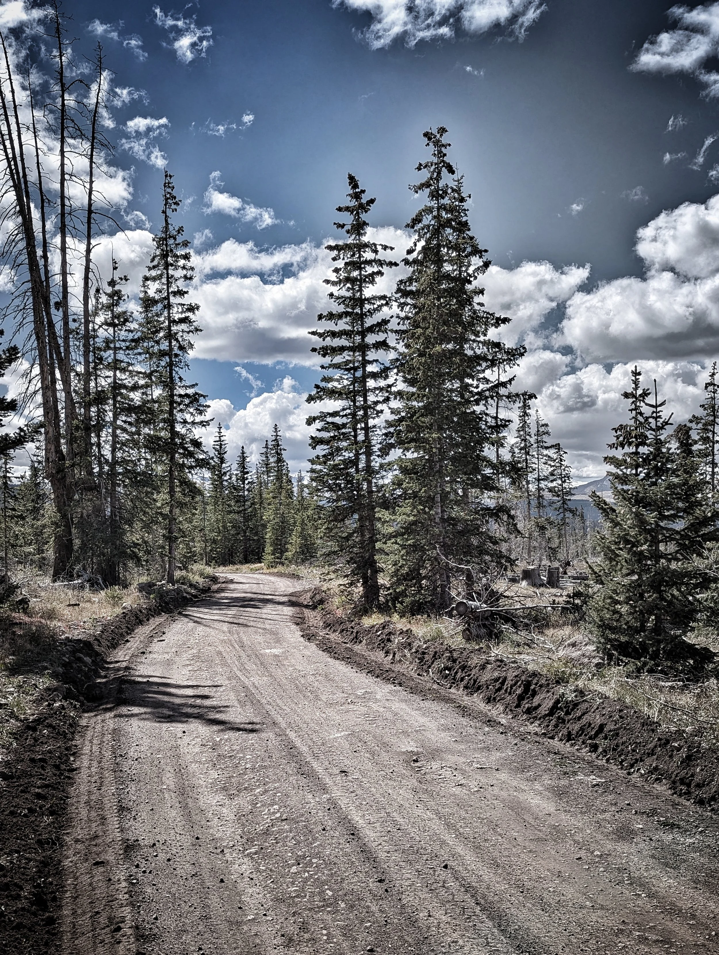 Crossing the Alpine Plateau to Lake City. (Secret short cut). 