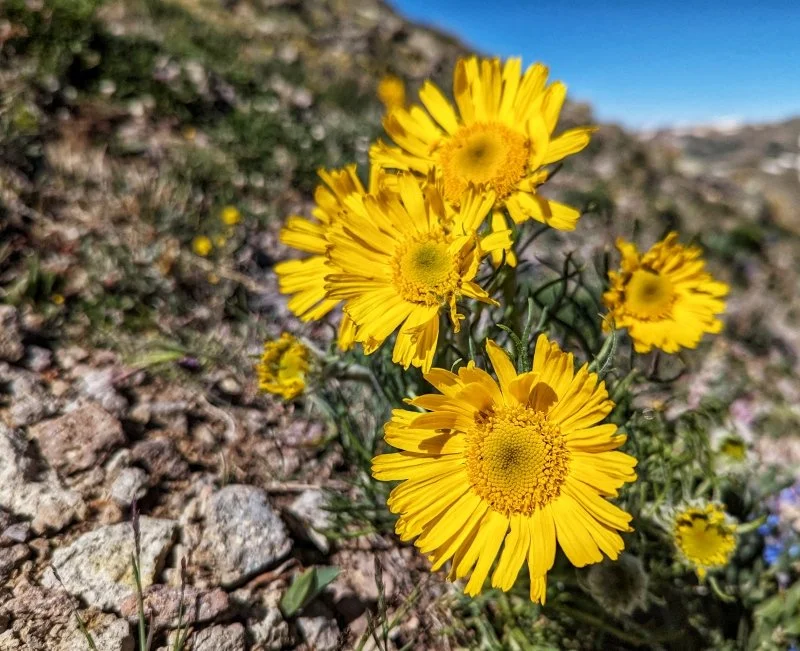 Old Man of the Mountain