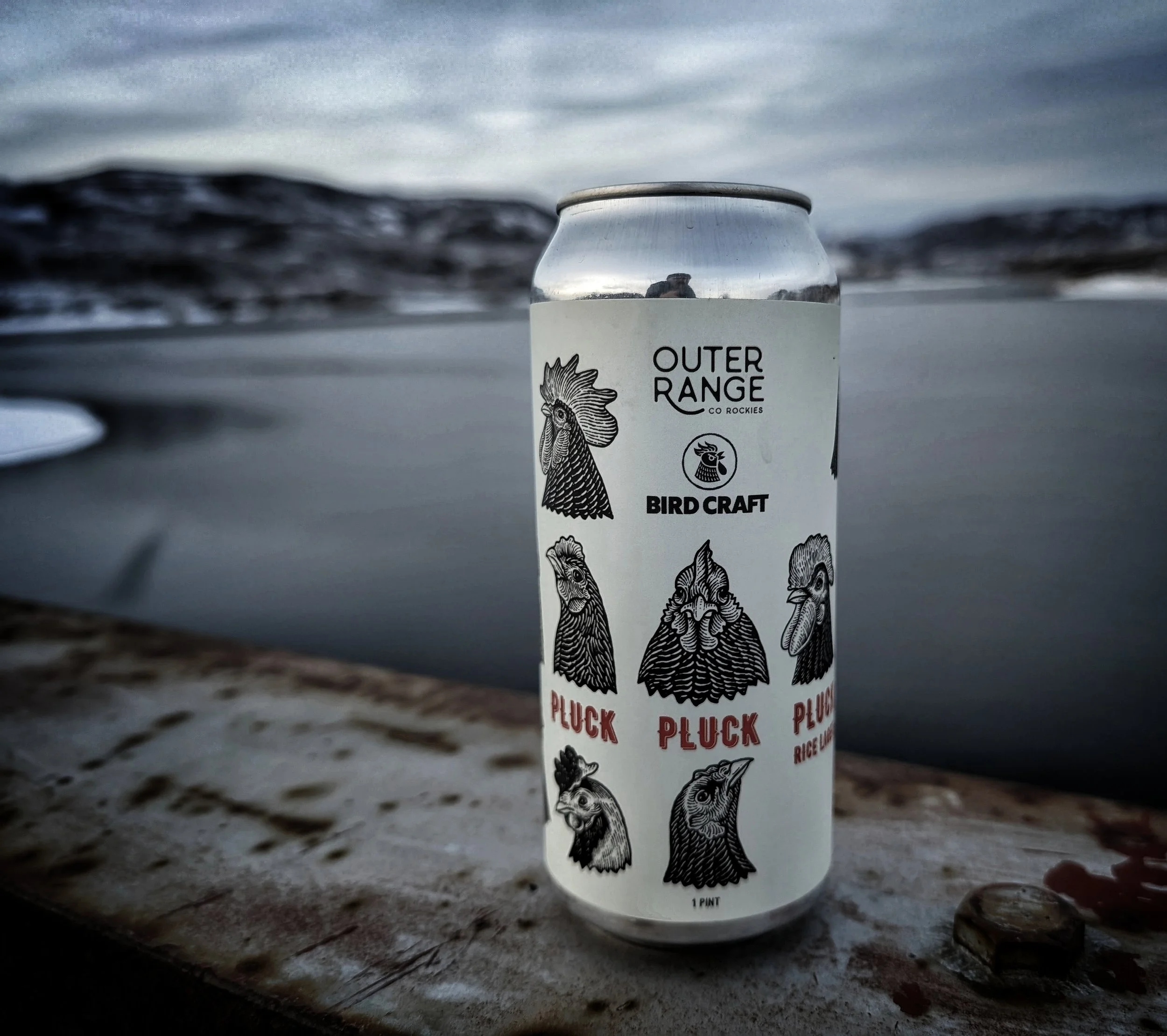 In my top-3 favorite breweries, Outer Range partnered with Bird Craft, an in-house wings restaurant in their Frisco, Colorado location.
This was enjoyed at the Blue Mesa Reservoir on a particularly cold & gloomy afternoon.     