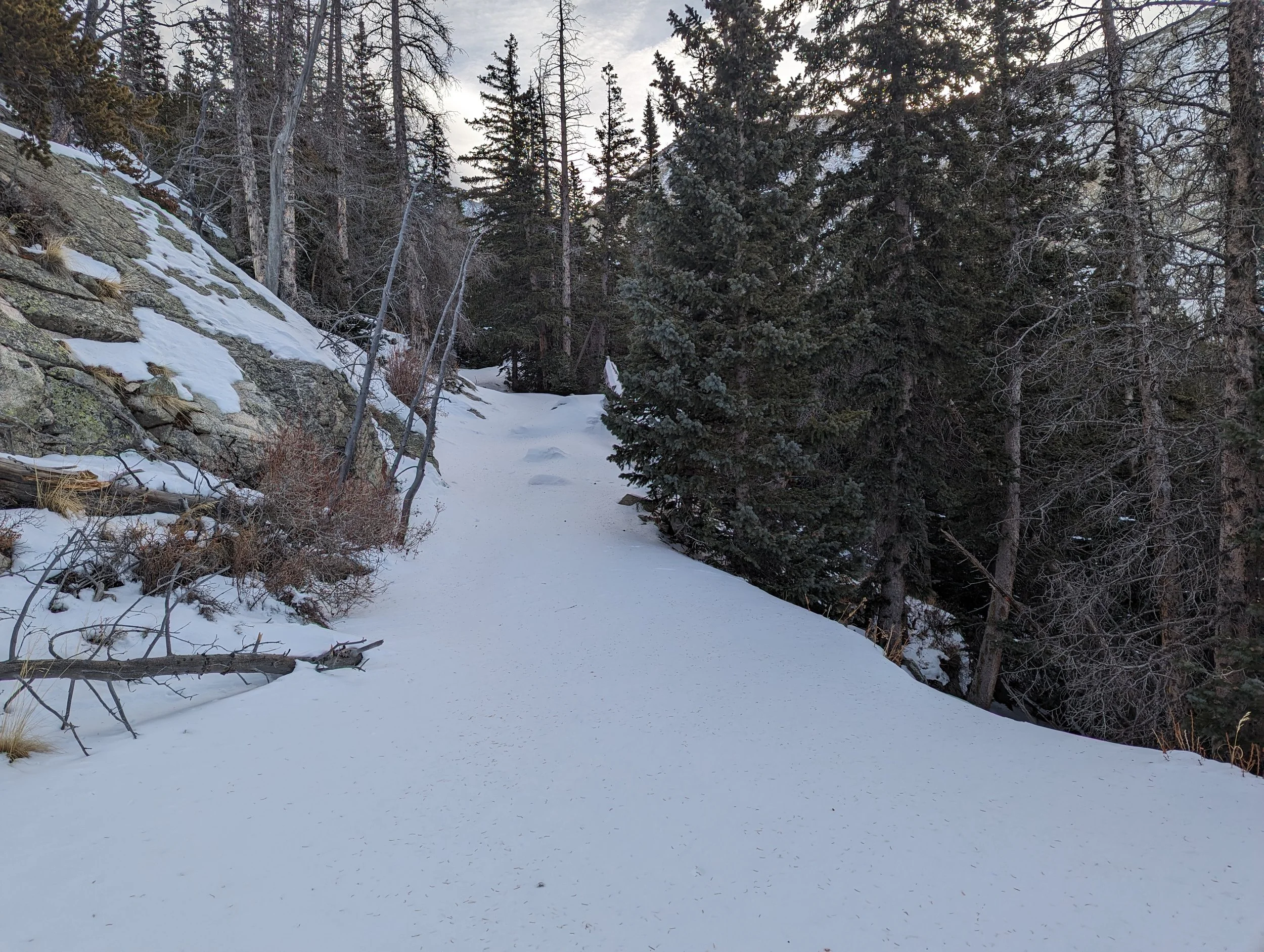 Untrammeled snow on the road