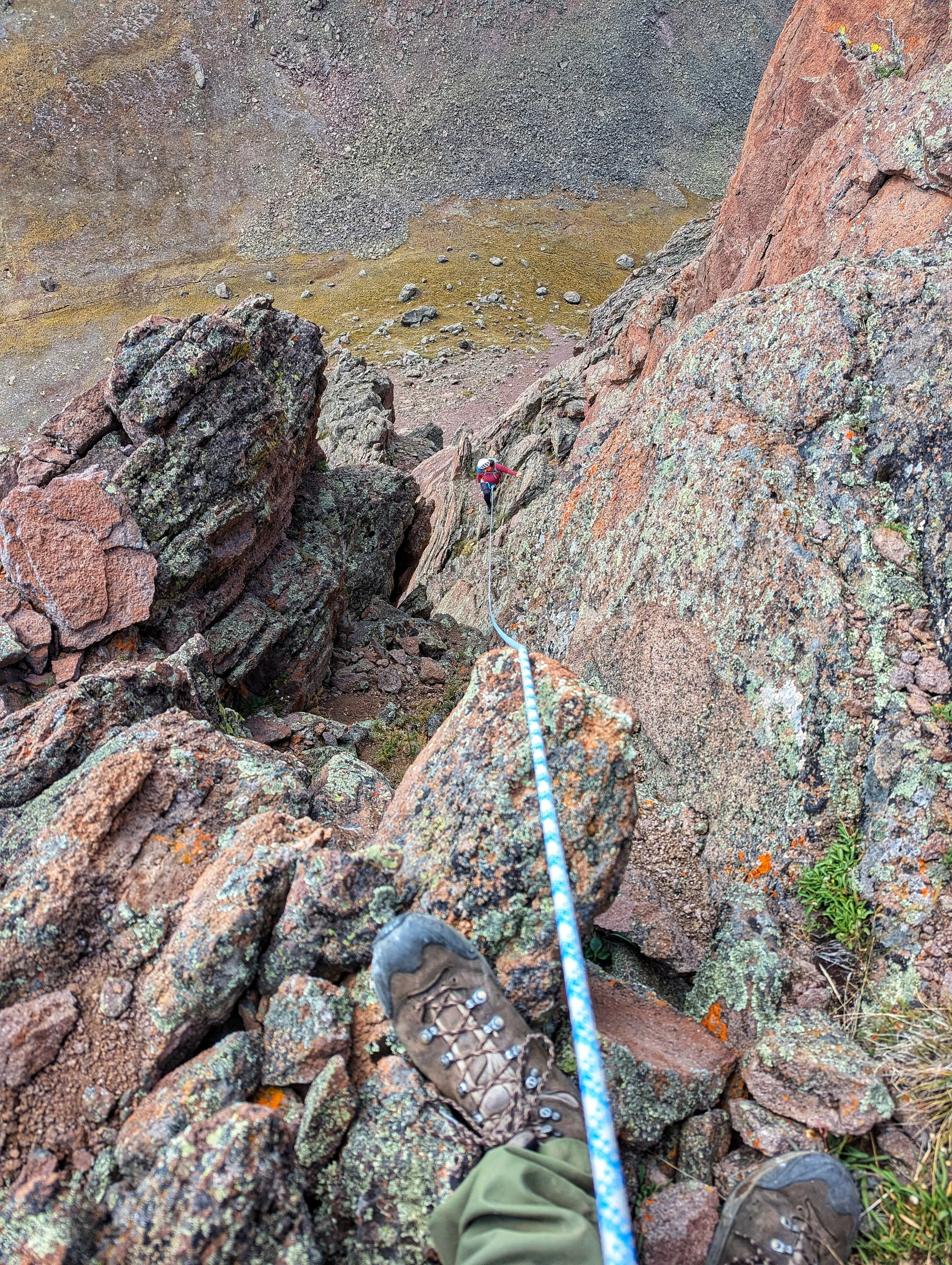 Regina on top rope up the "money" section