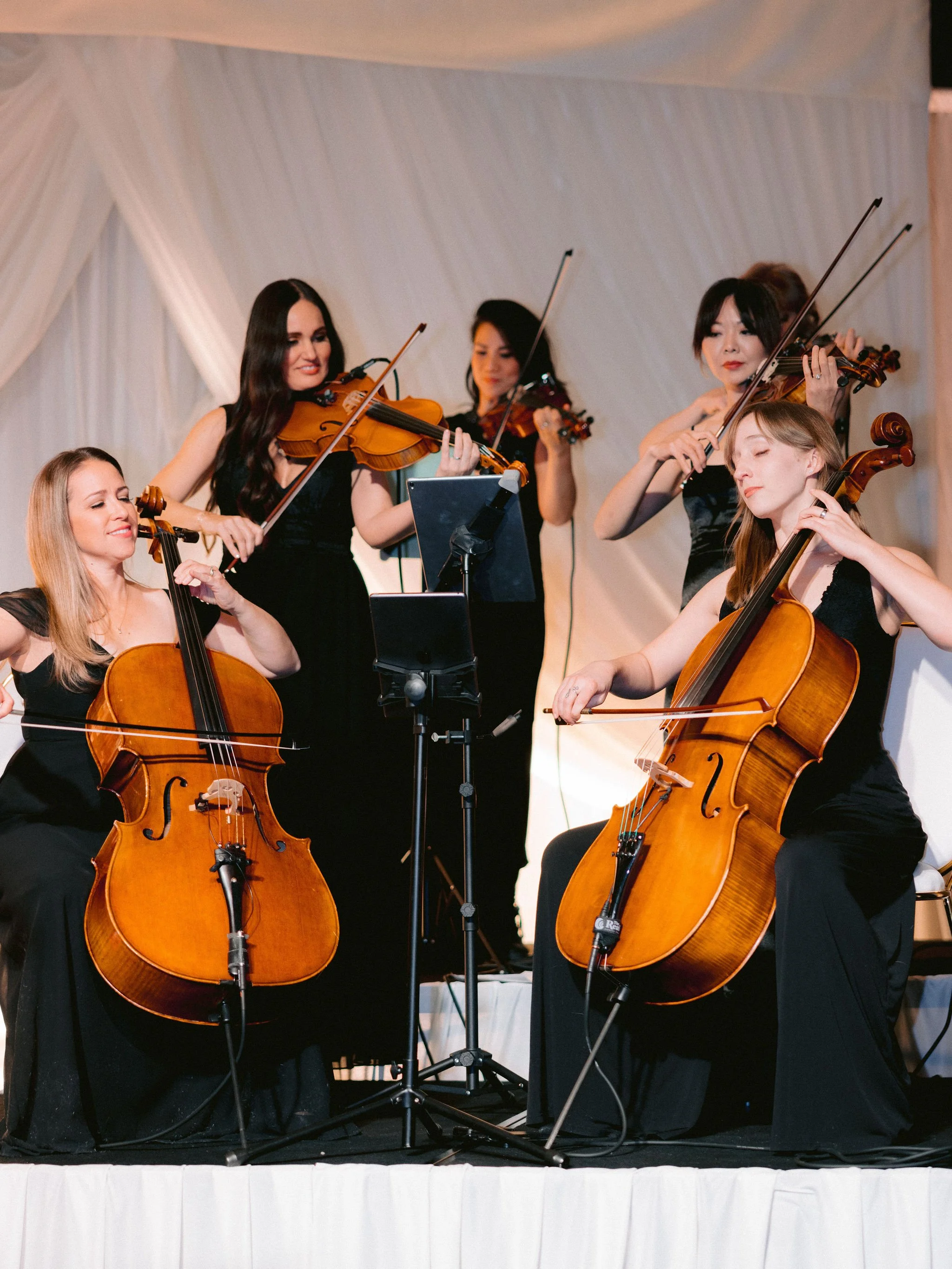 BONDED is the luxury brand and leader in the industry or permanent jewelry. 