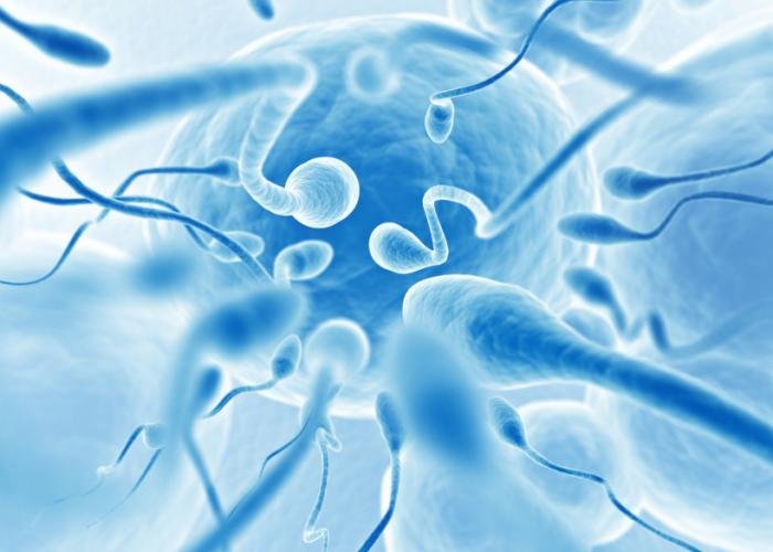 7 Yoga Postures to Boost Men’s Fertility 