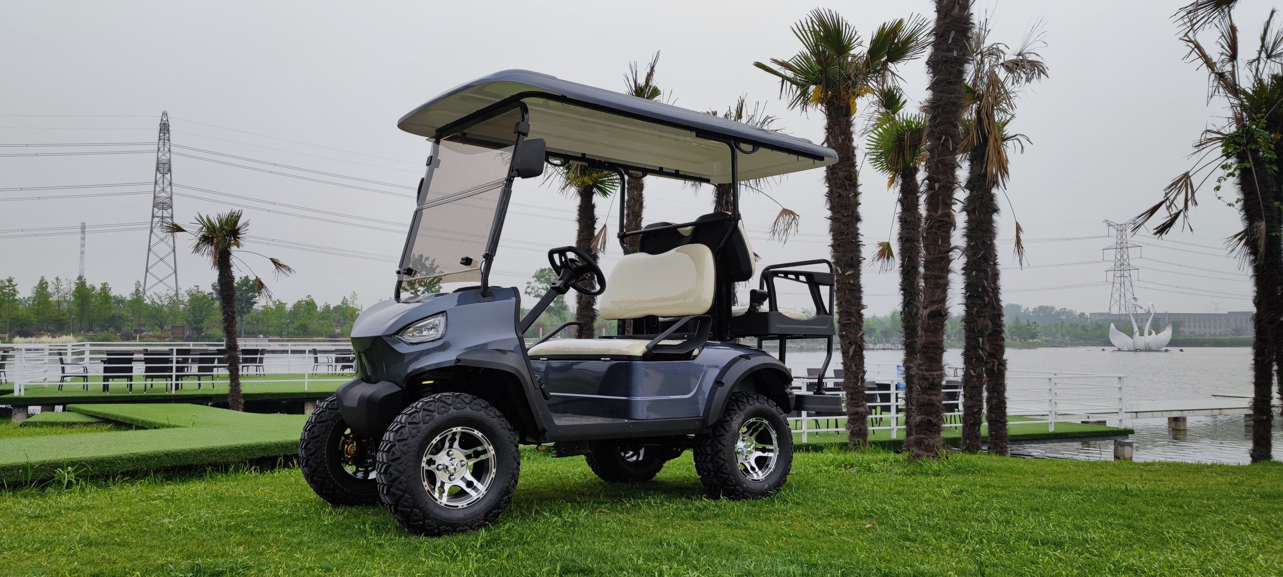 Gray golf cart parked on grass with palm trees and water in the background.