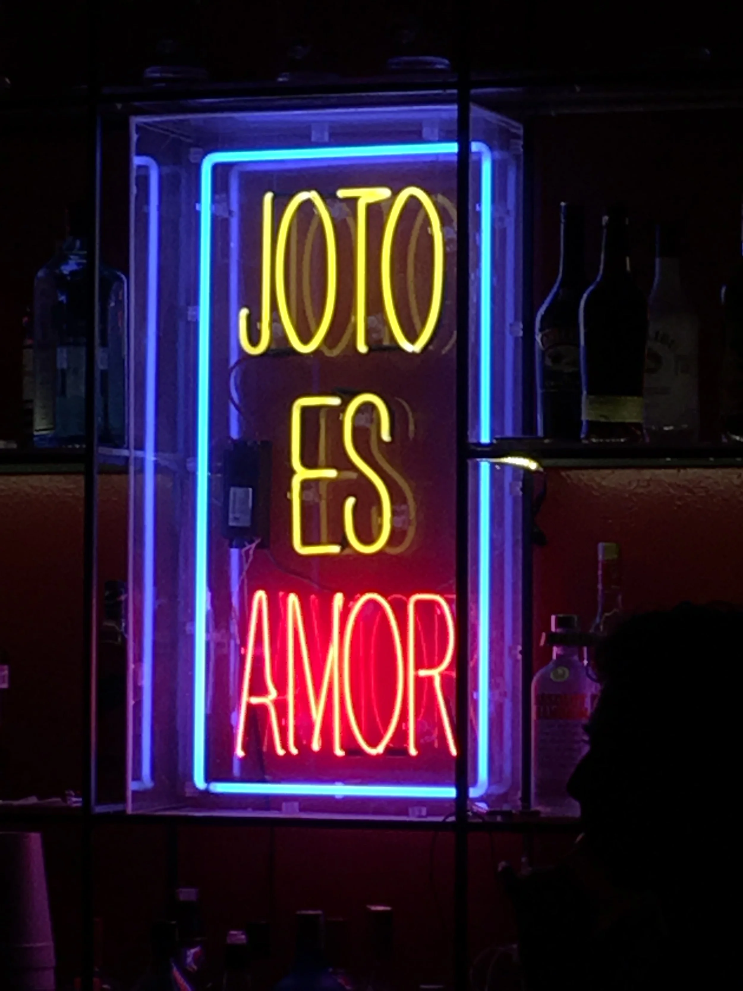Translates as faggotry is love. Marrakech Saloon, Mexico City. Photo by author.