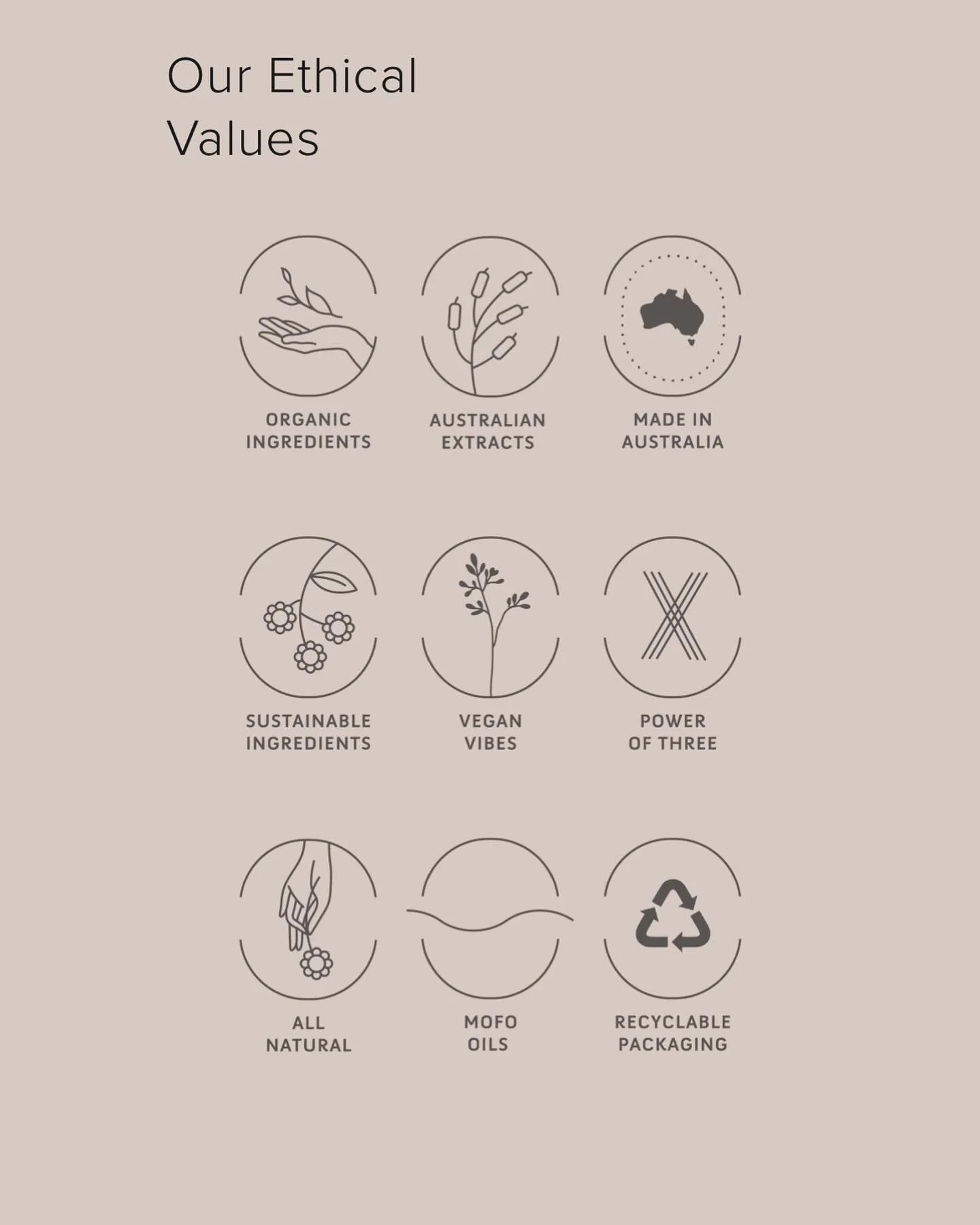 We only have the cleanest ingredients in our products.
Our suppliers use best environmental practices and work with First Nations farming and land management.
Cellular extraction is the purest way to encapsulate the goodness from the plants.
Use alo