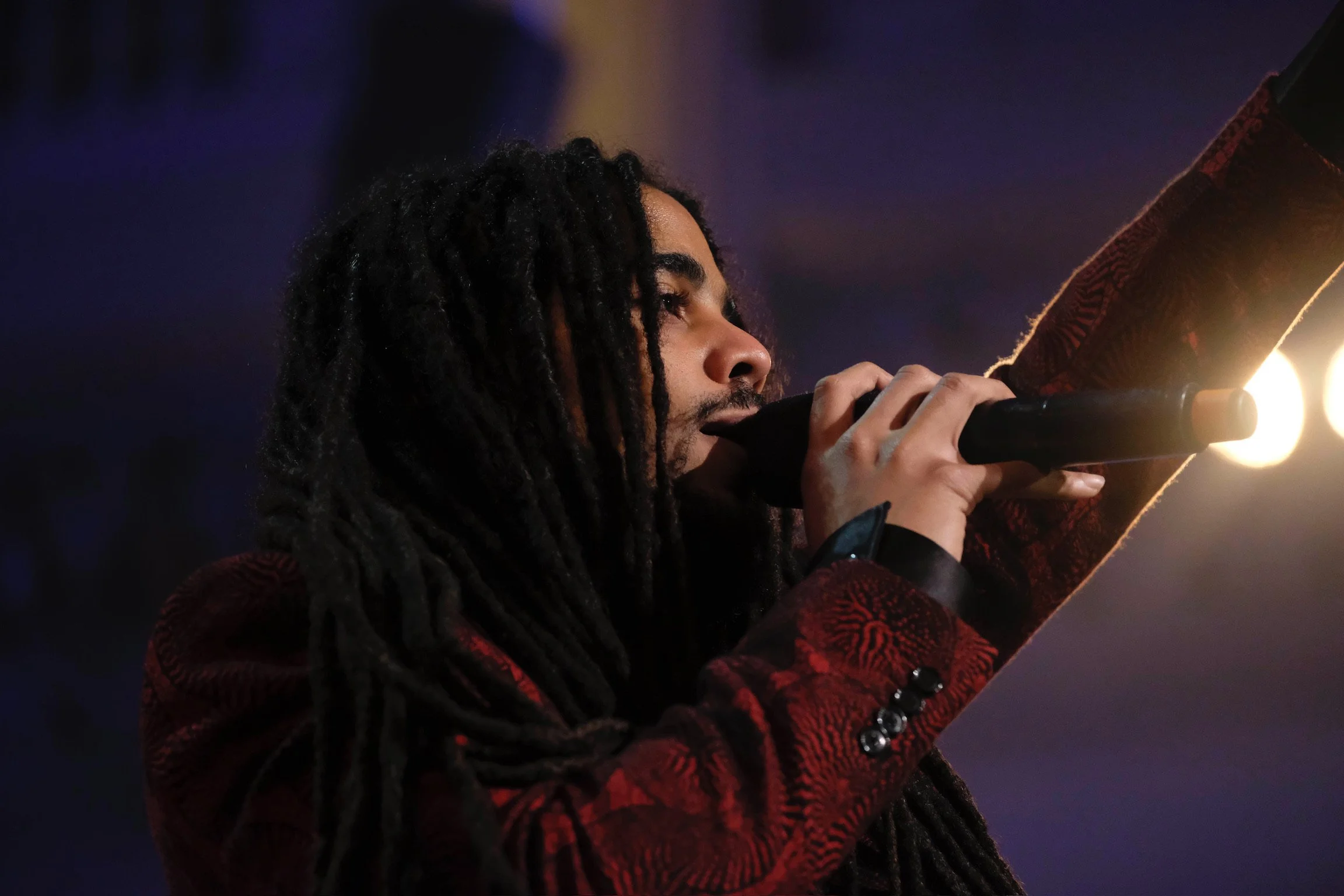 snimn bob marley reimagined gig 2a.jpg