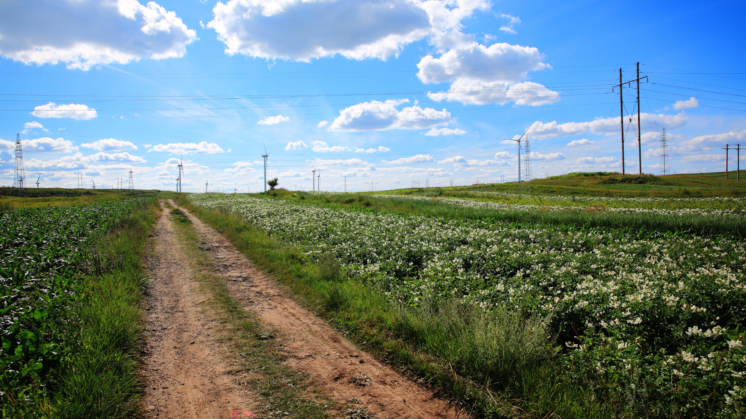 Barriers to care.png