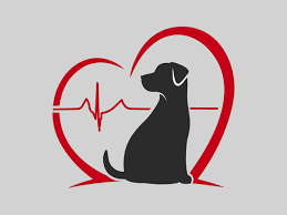 cardio Clinic