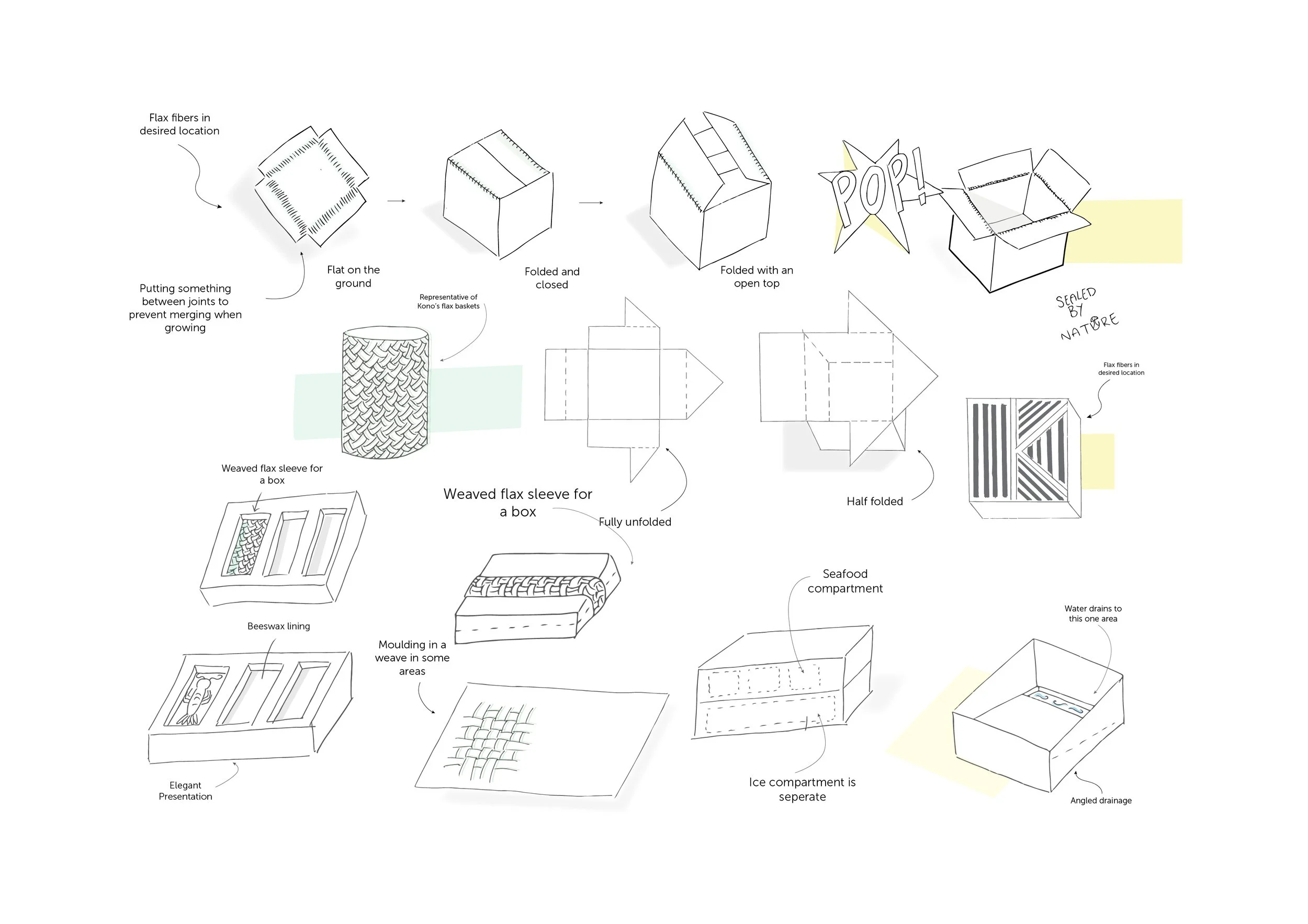 Sketch Images.jpg