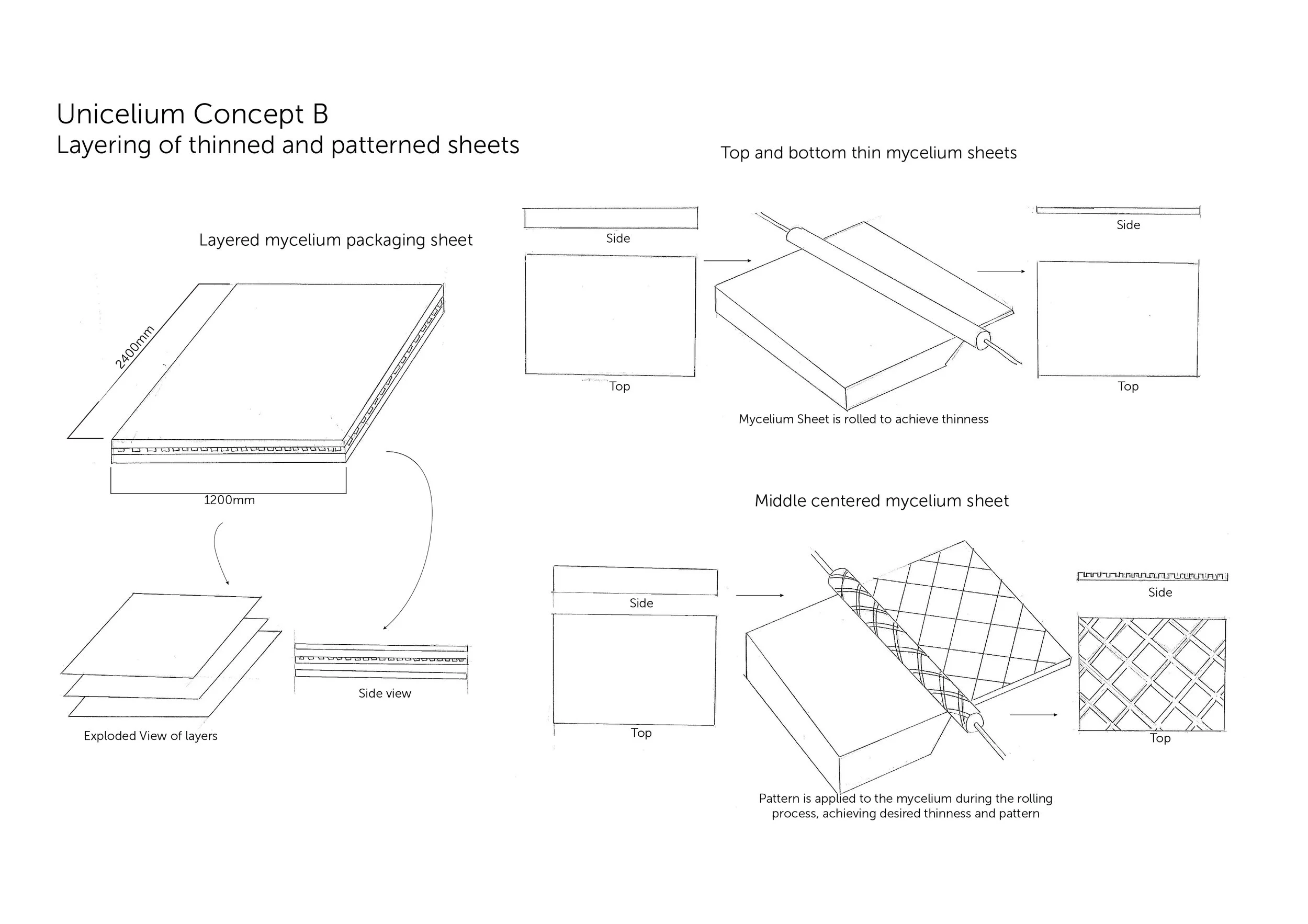 virtuo-unicelium-product-concept-sketches-01.jpg