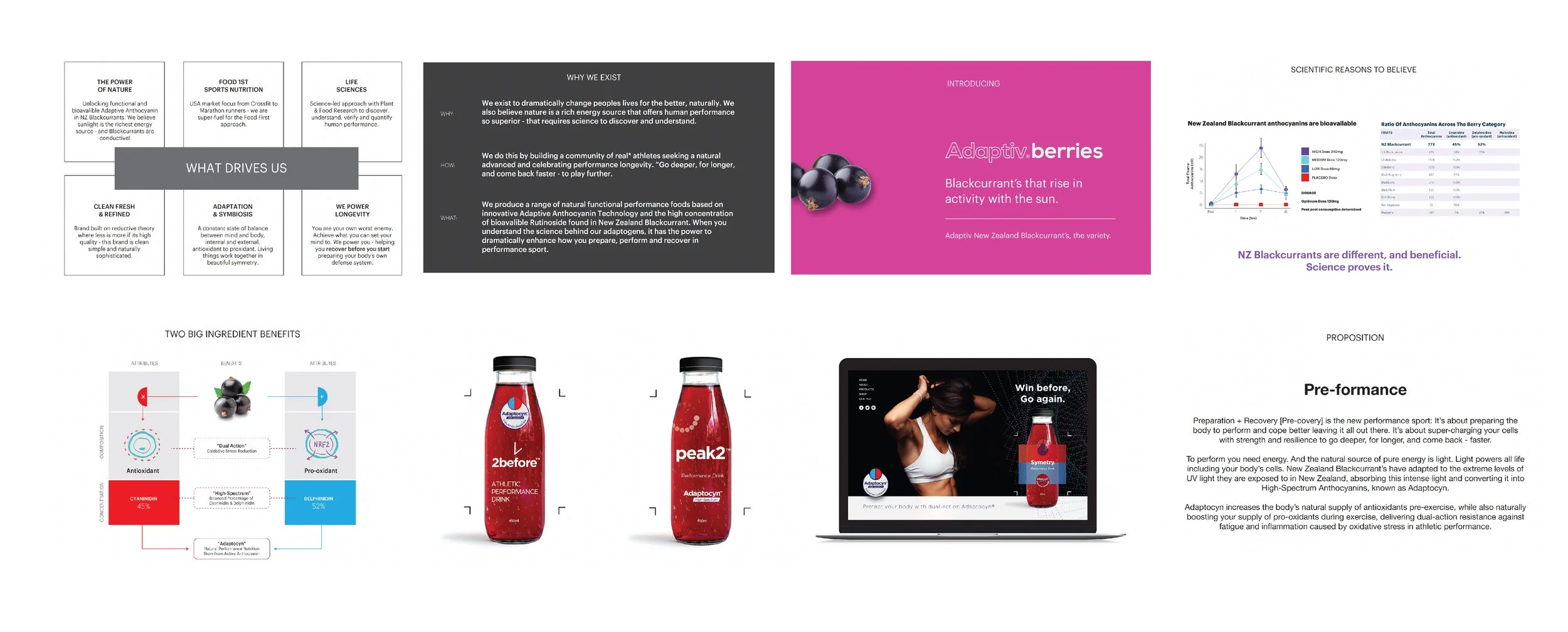 2before Mock ups-01.jpg