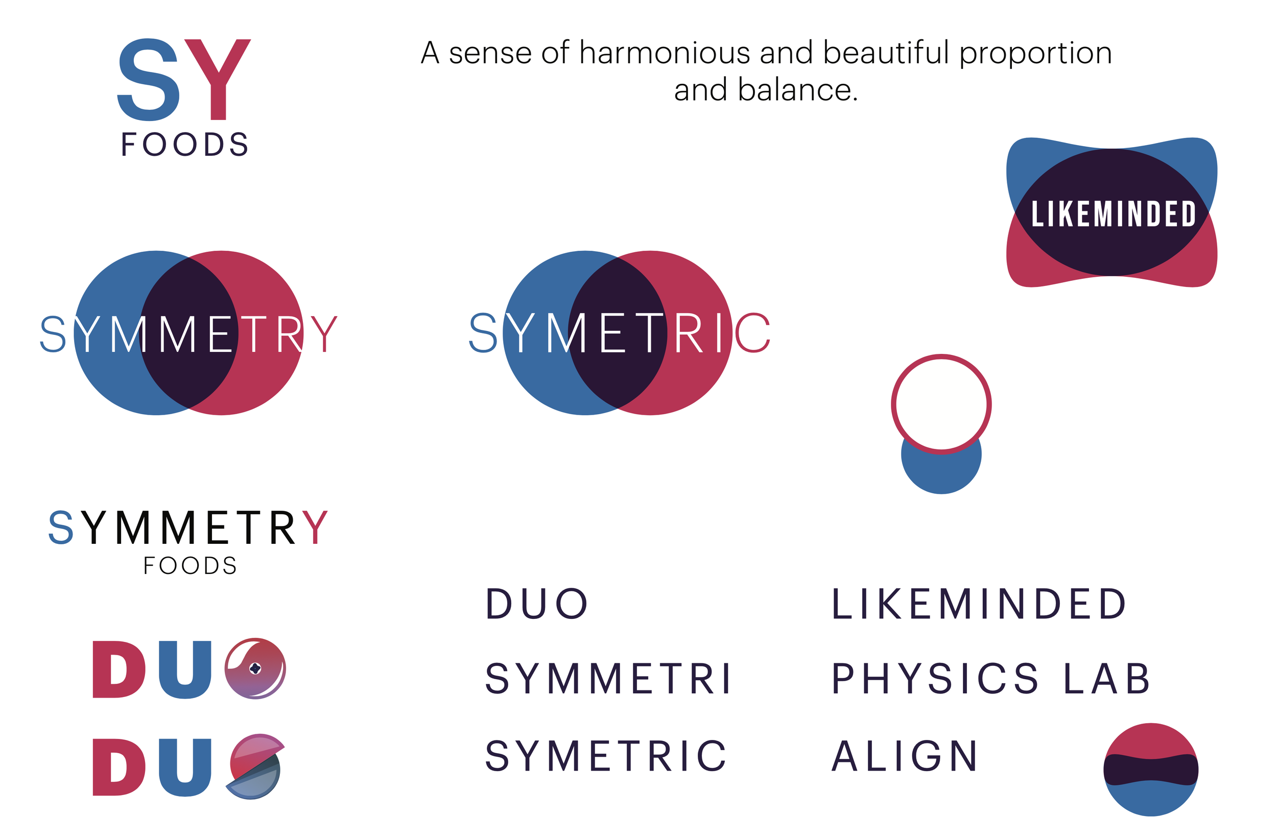virtuo-2before-concept-mockups-10.png