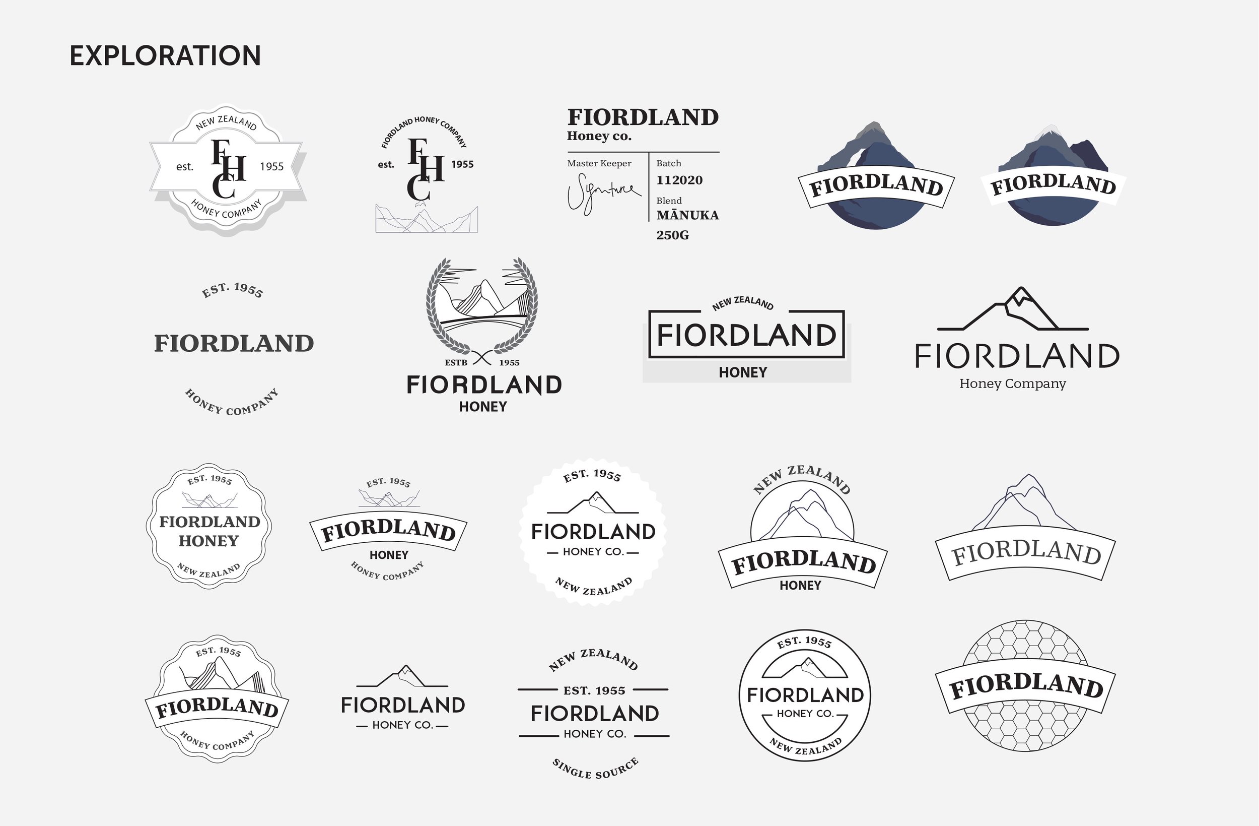 Virtuo_Fiordland_BrandIdentity-8.jpg