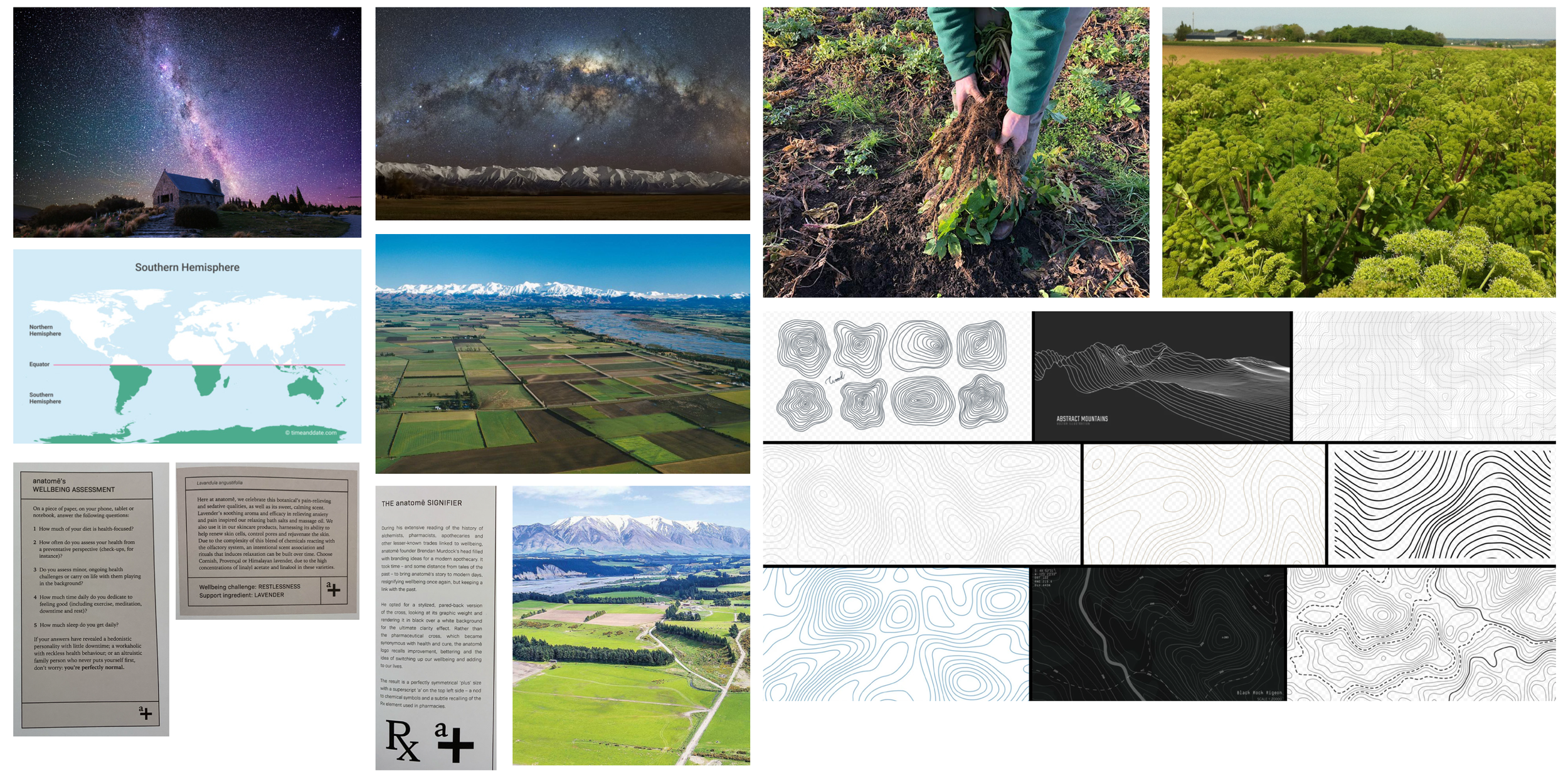 virtuo-south-botanicals-brand-research.png