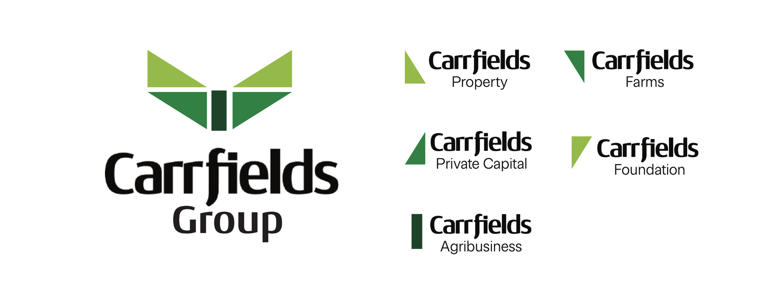 virtuo-carrgroup-brand-concepts-mockup-14.png