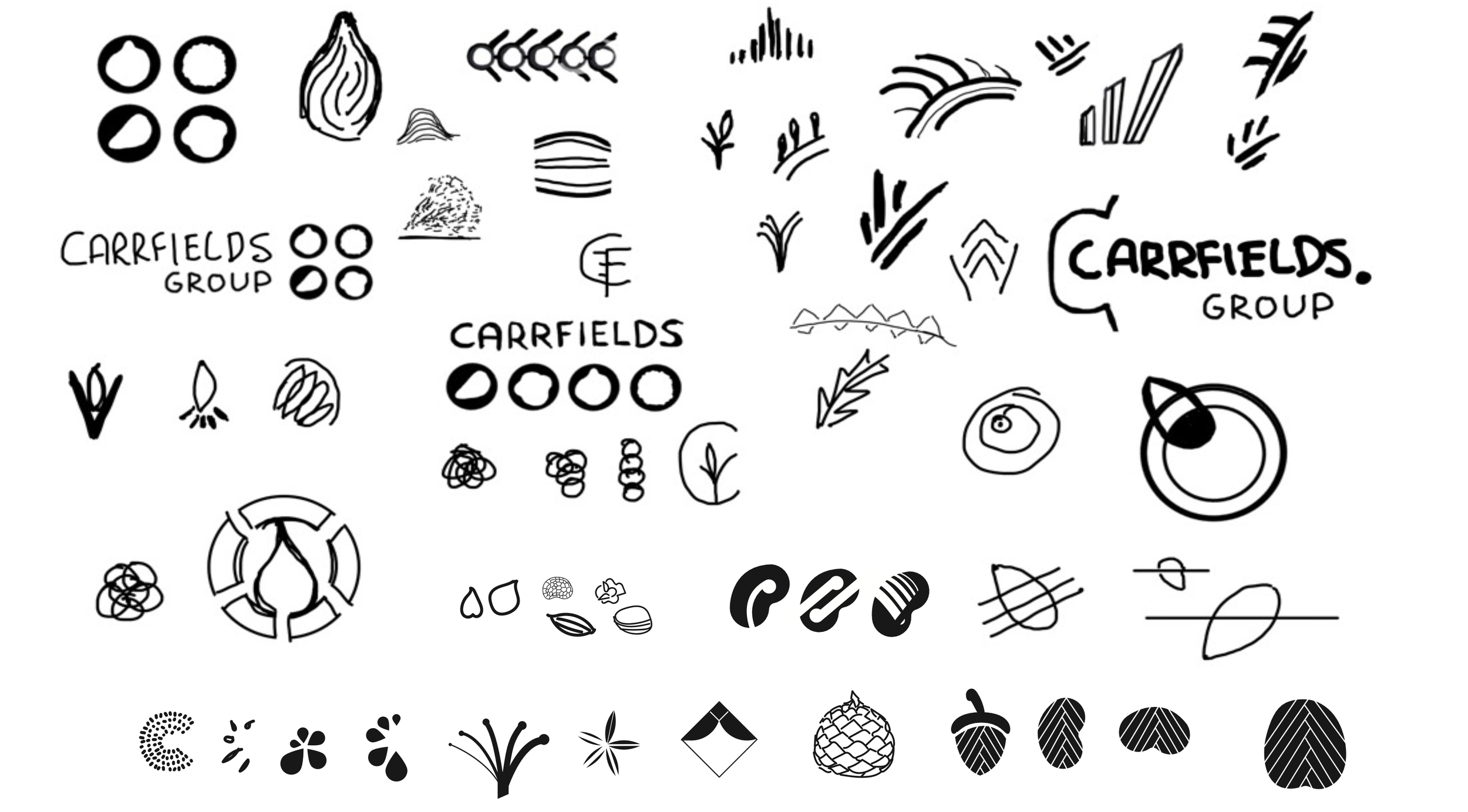 virtuo-carrgroup-brand-concepts-mockup-07.png