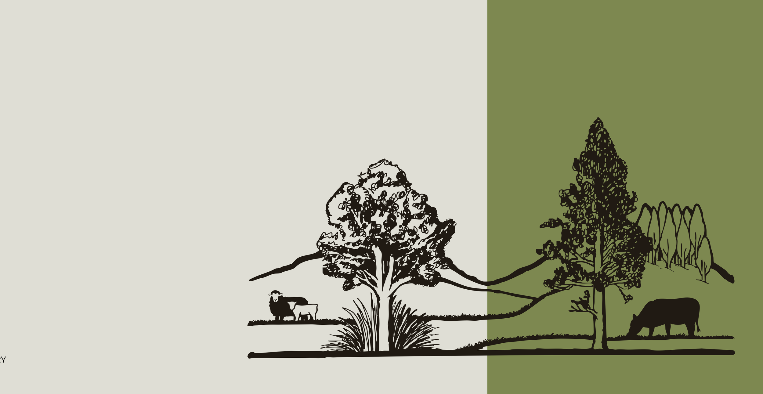 carbonfields-brand-masterlogo_illustration.png