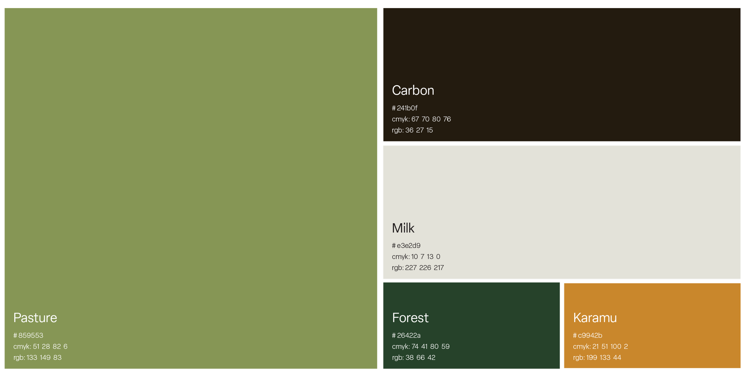 carbonfields-brand-colour-palette-mockup.png