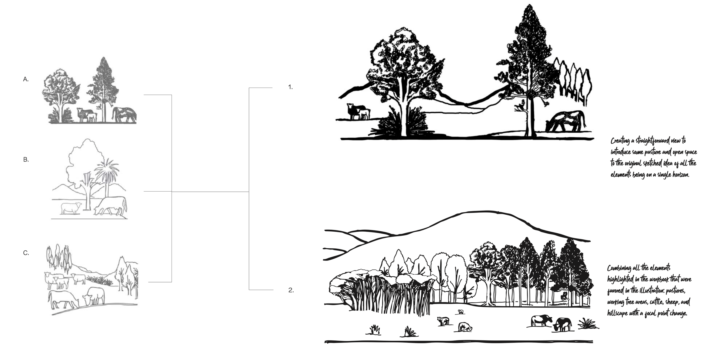 carbonfields-brand-sketches-concept-refined-002.png
