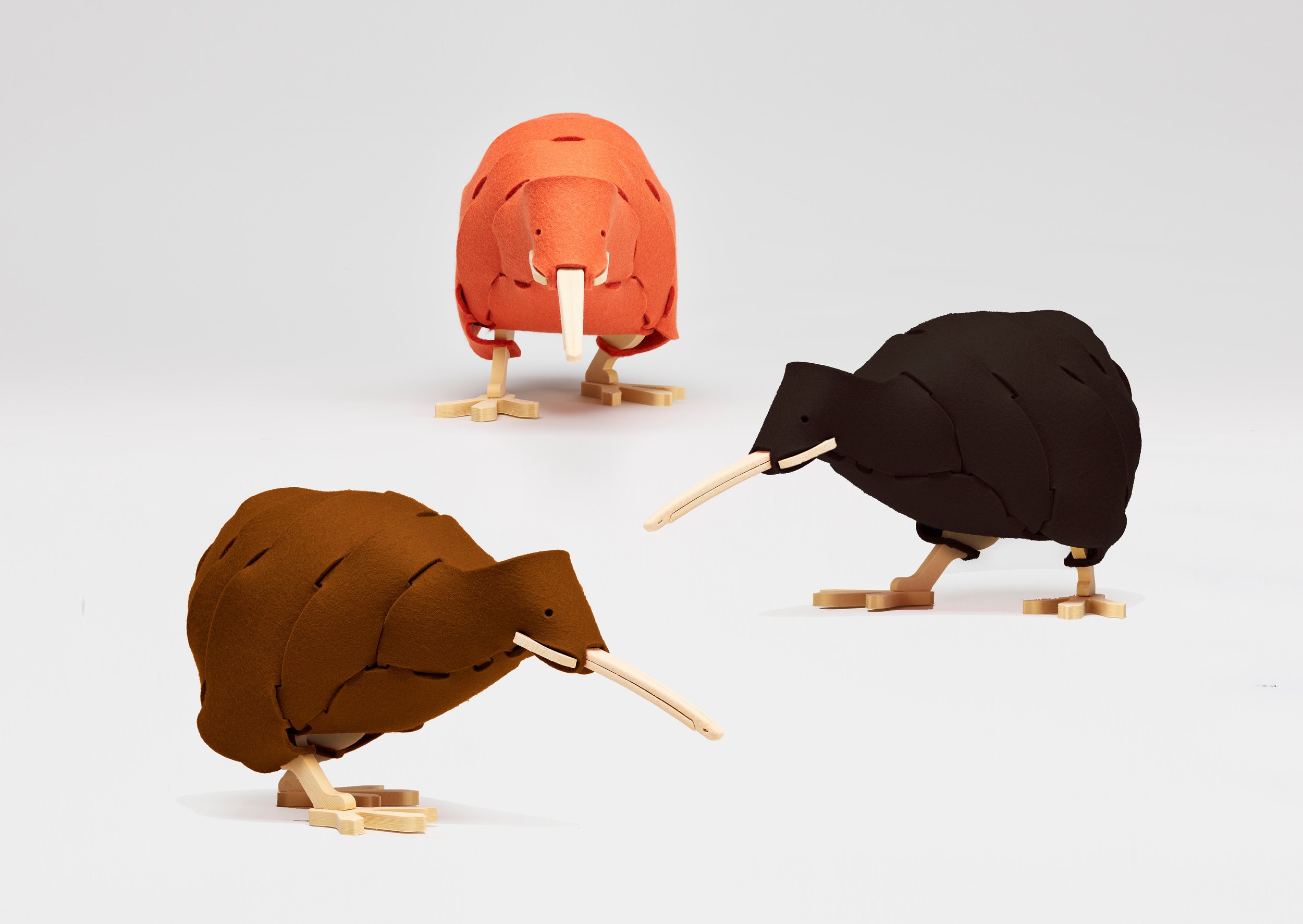 SaveTheKiwi_6.jpg