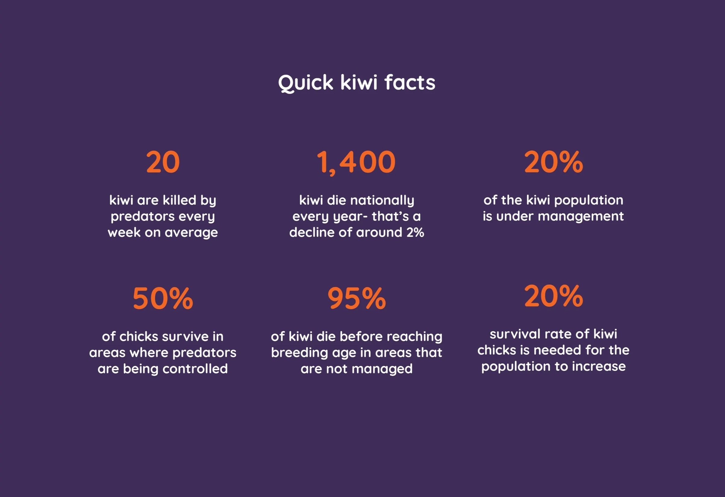 virtuo-stk-product-kiwis-statistics-mockup.jpg
