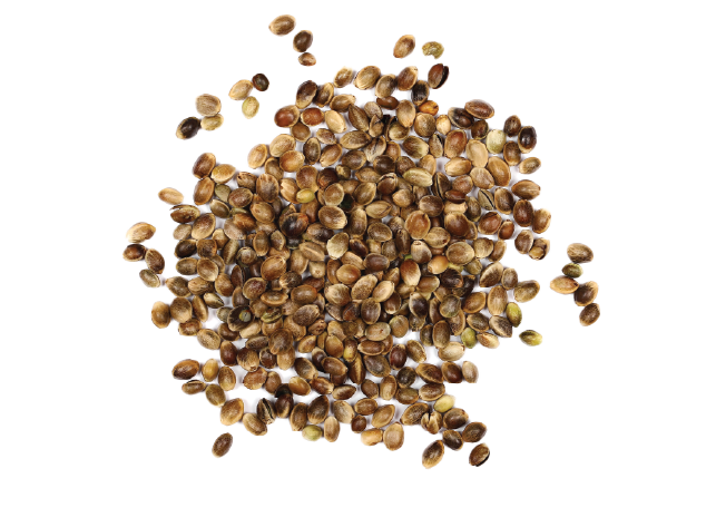 virtuo-rubisco-raw-hemp-seeds.png