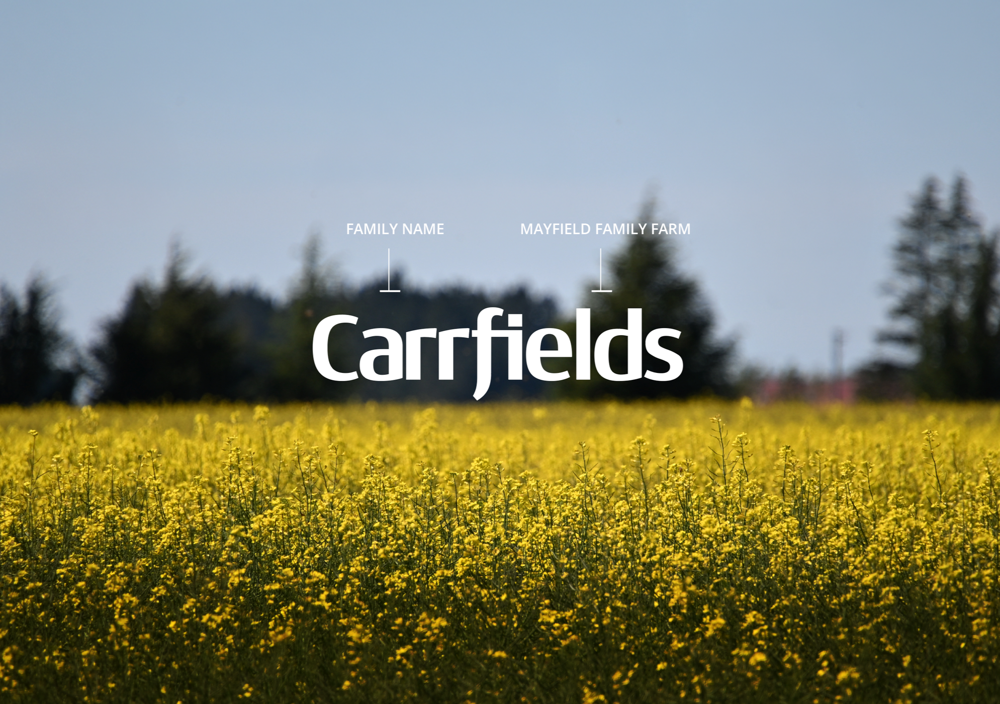 Carrfields