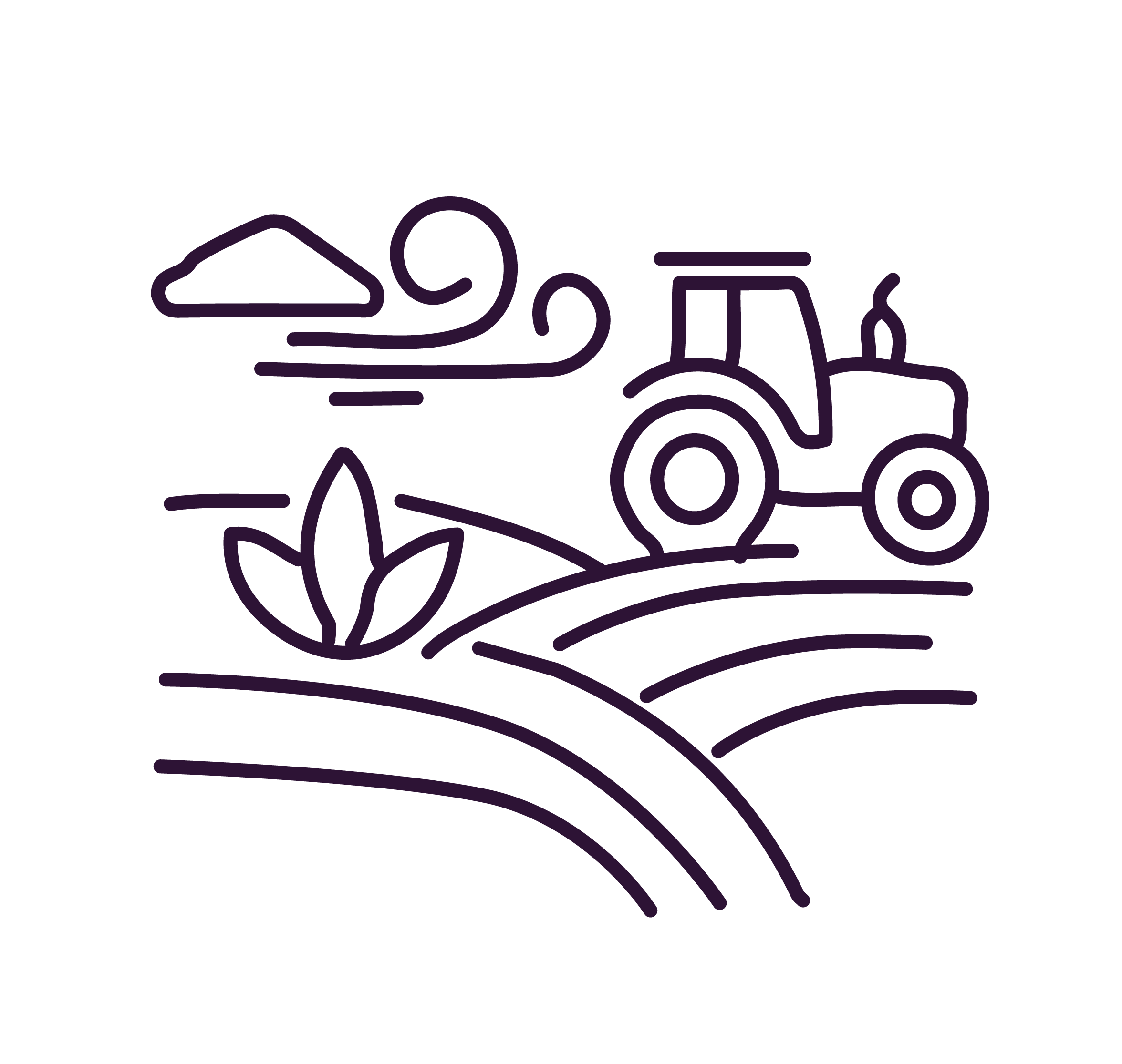 Virtuo_SouthBotanicals_Assets-13.png