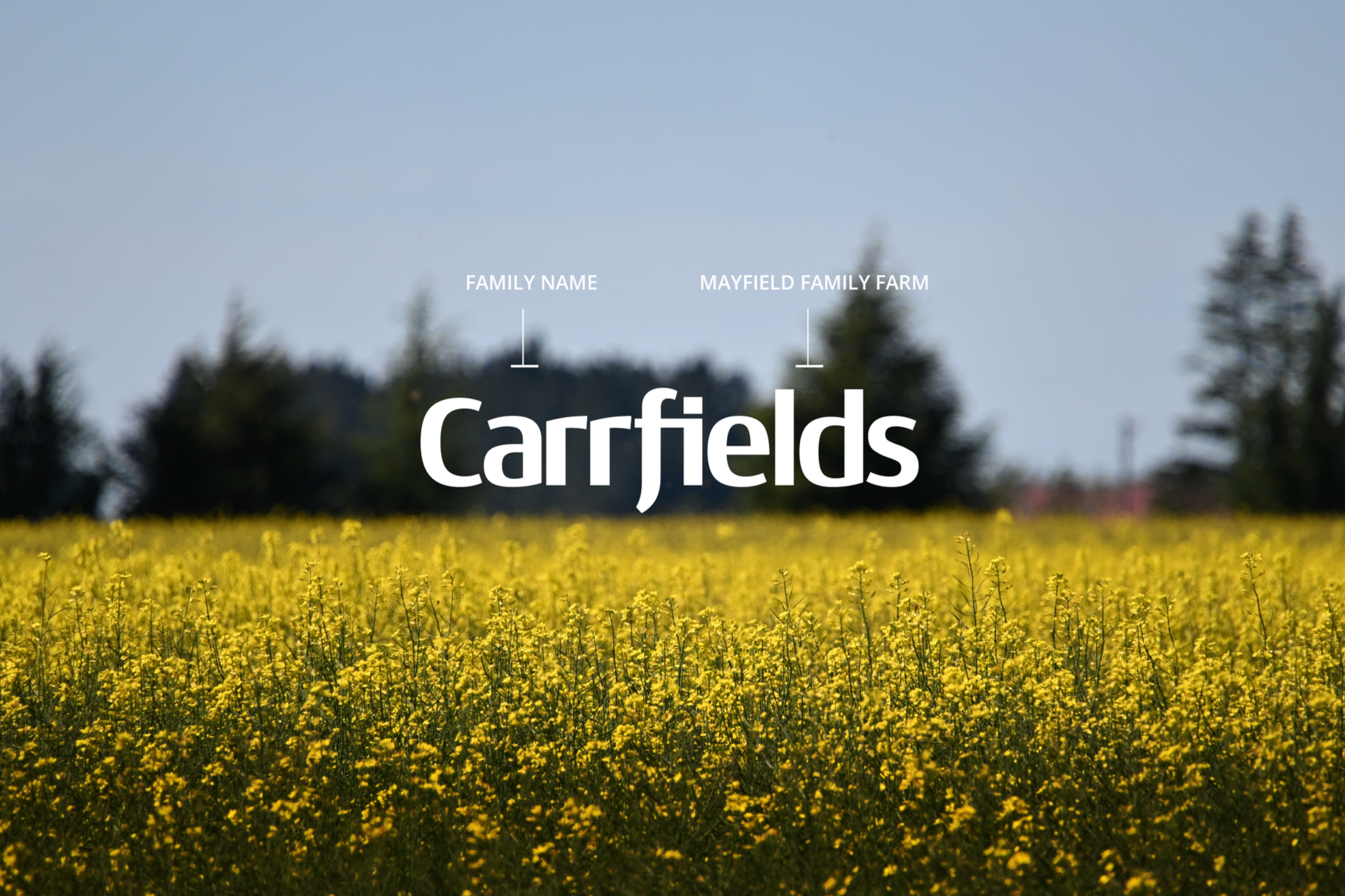 Carrfields