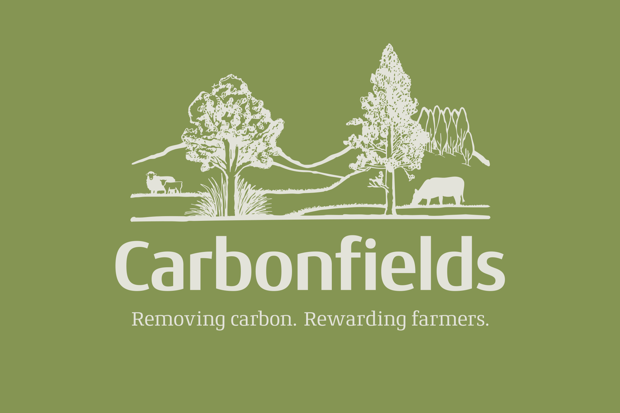 Carbonfields