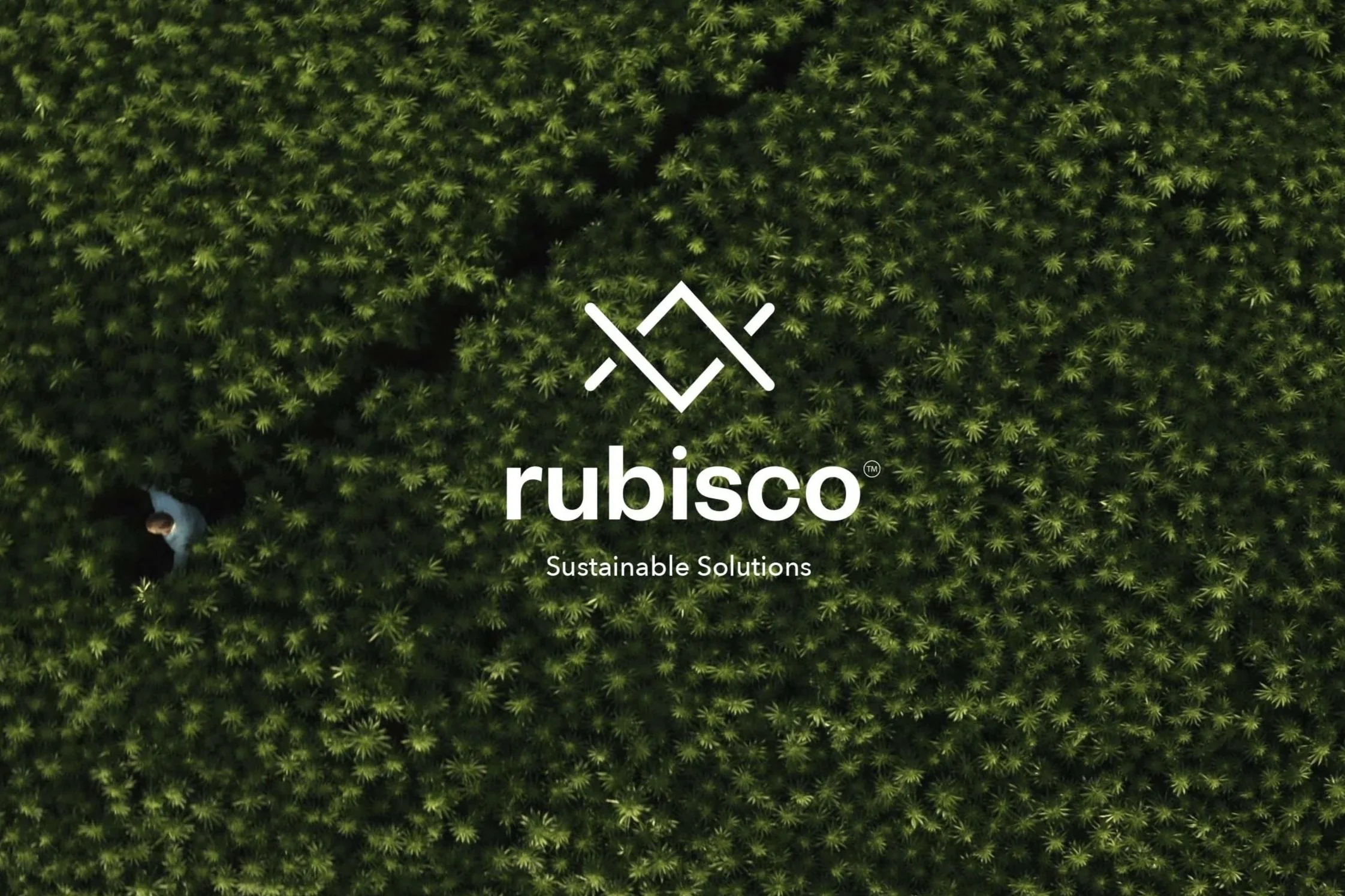 Rubisco