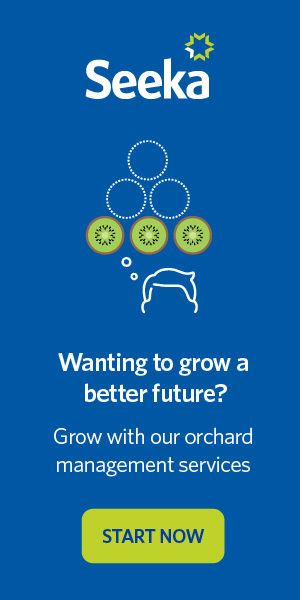 virtuo-seeka-brand-marketing-banner.png