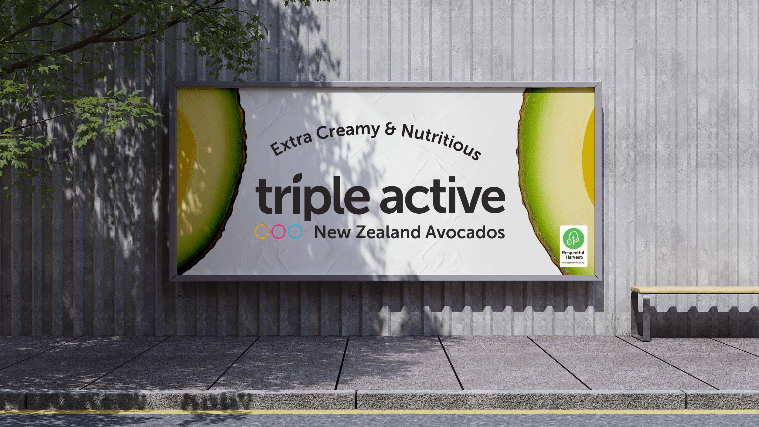 Triple Active New Zealand Avocados