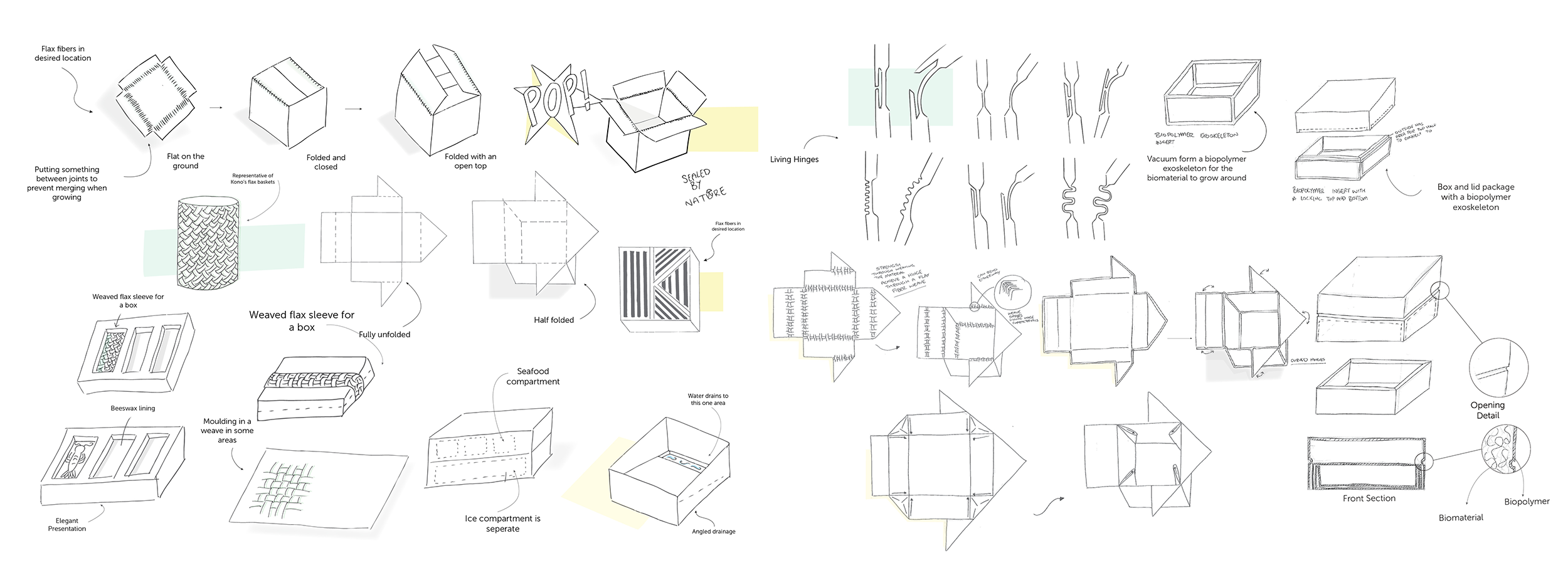 virtuo-unicelium-product-concept-sketches.png