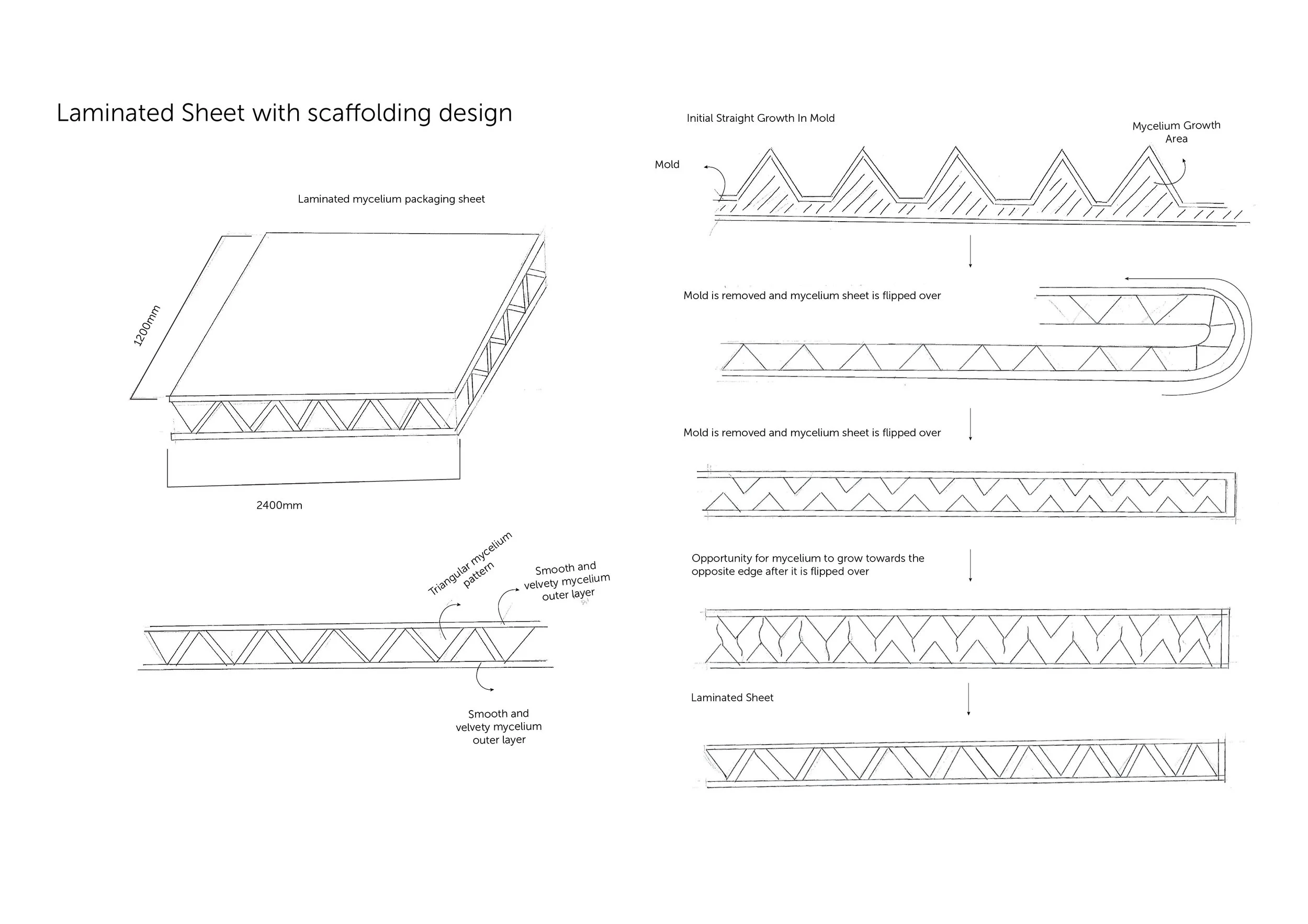 virtuo-unicelium-product-concept-sketches-02.jpg