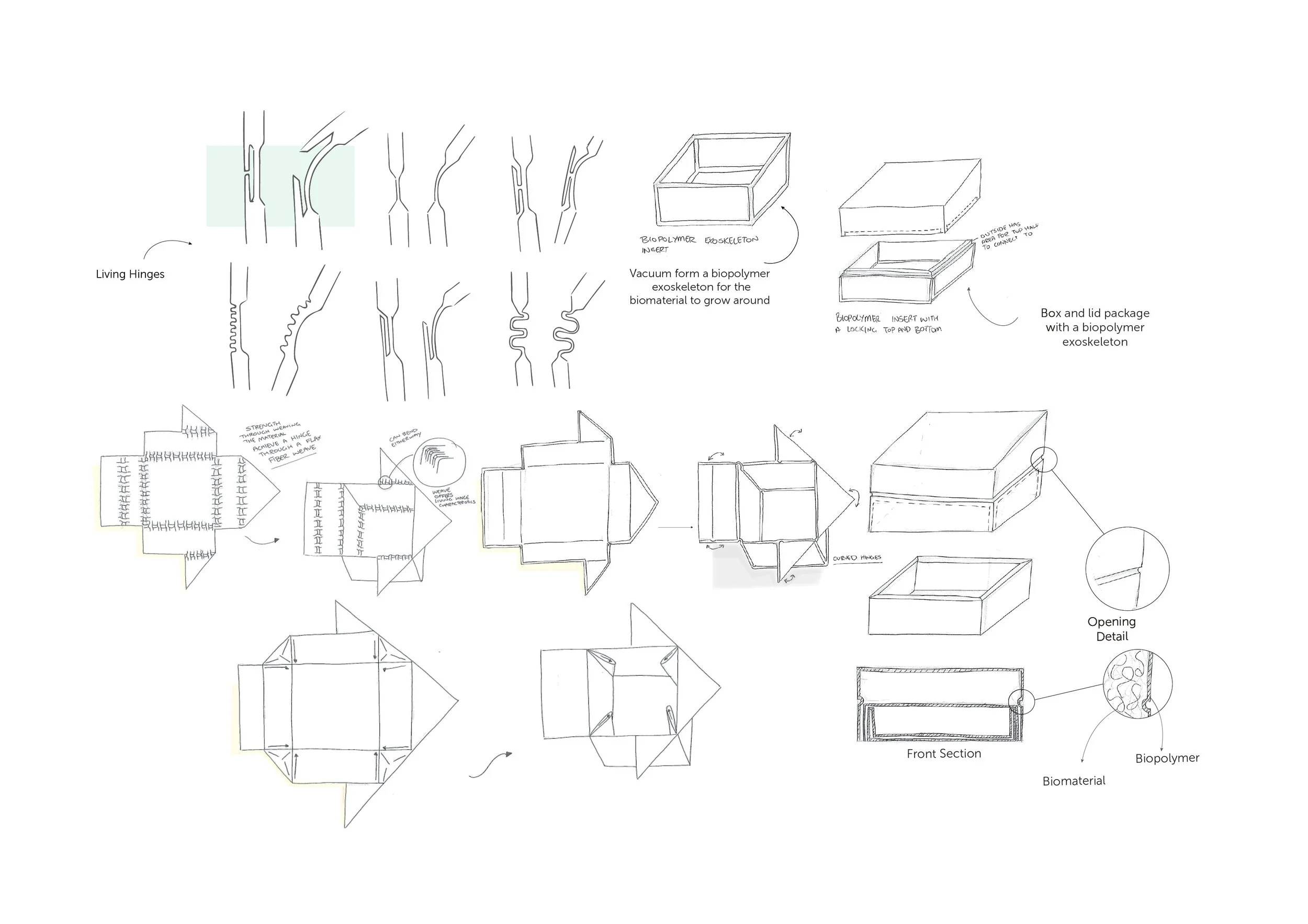 Sketch Images2.jpg