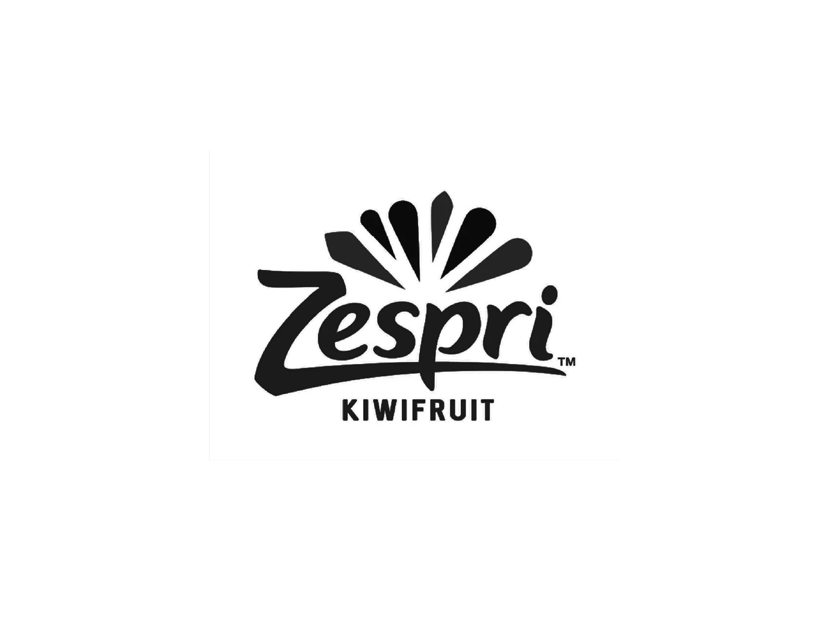 Black and white logo with stylized text 'Zespri' and the word 'KIWIFRUIT' underneath, featuring a graphic element resembling a sunburst or kiwi slices.