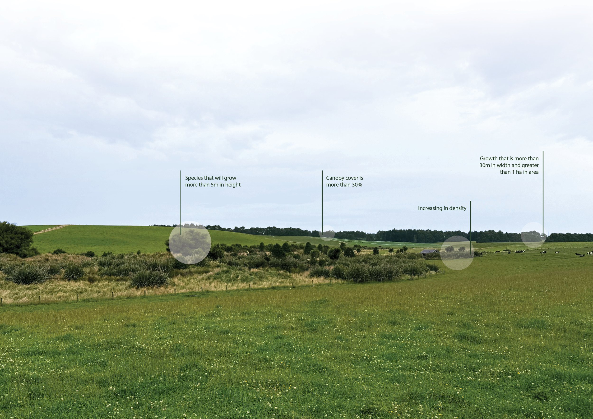 carbonfields-brand-pasture-callouts.jpg