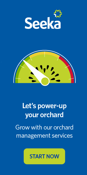 virtuo-seeka-brand-marketing-banner-01.png