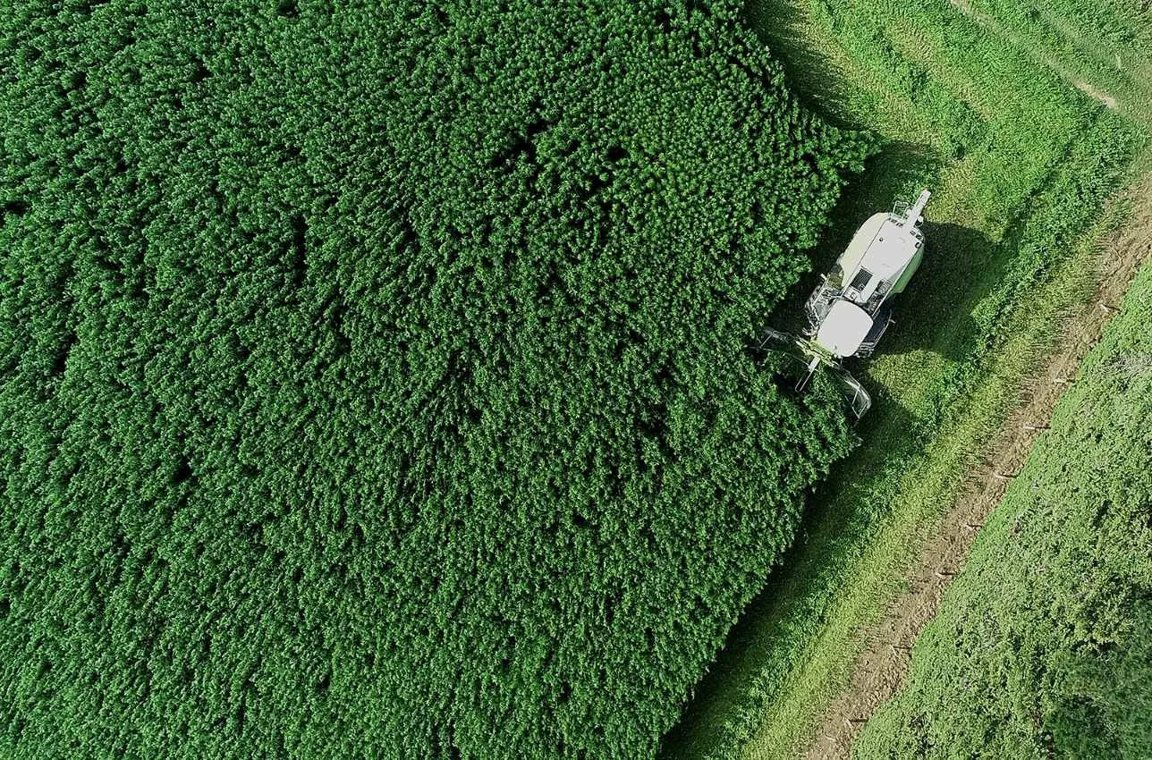 hemp-climate-change-min.jpg