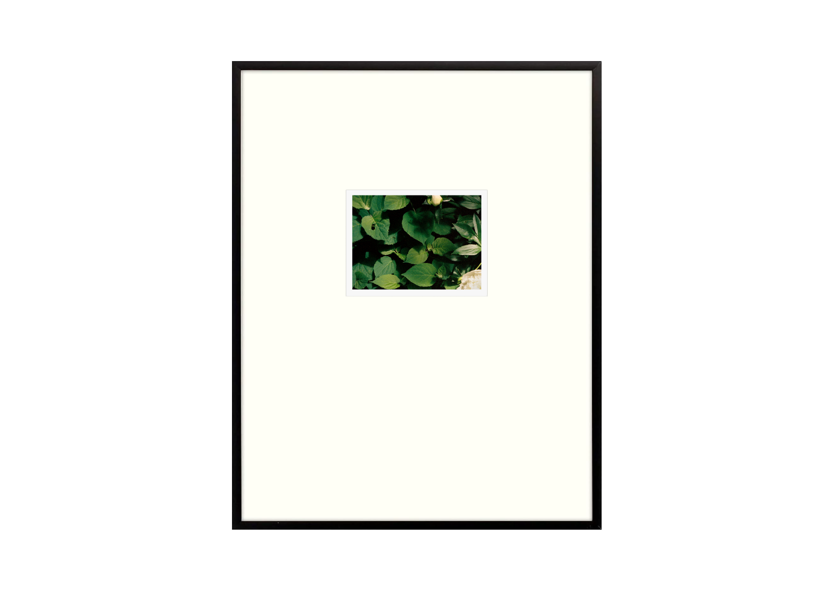 Artboard 1_1@300x.png